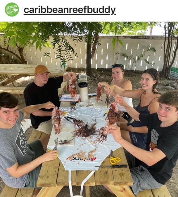 Disecting lionfish