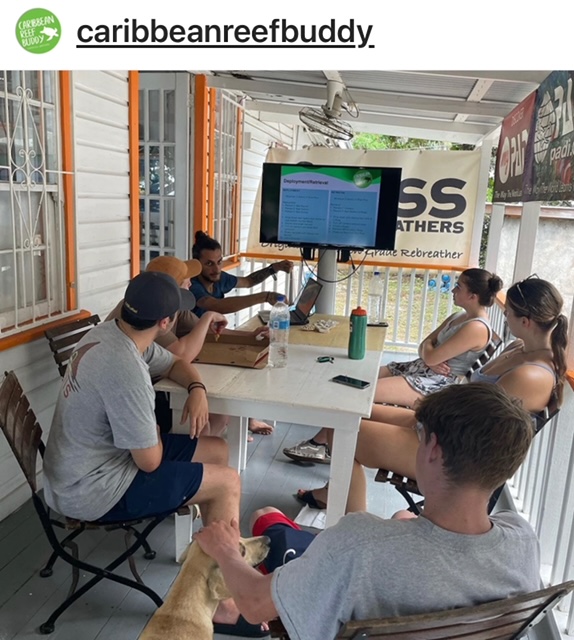 learning from marine biologists
