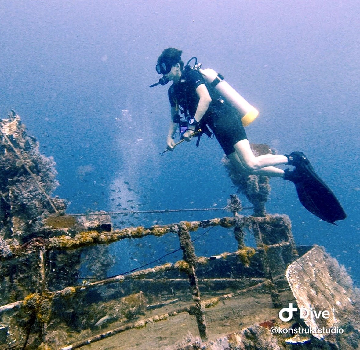 Awesome wreck dives