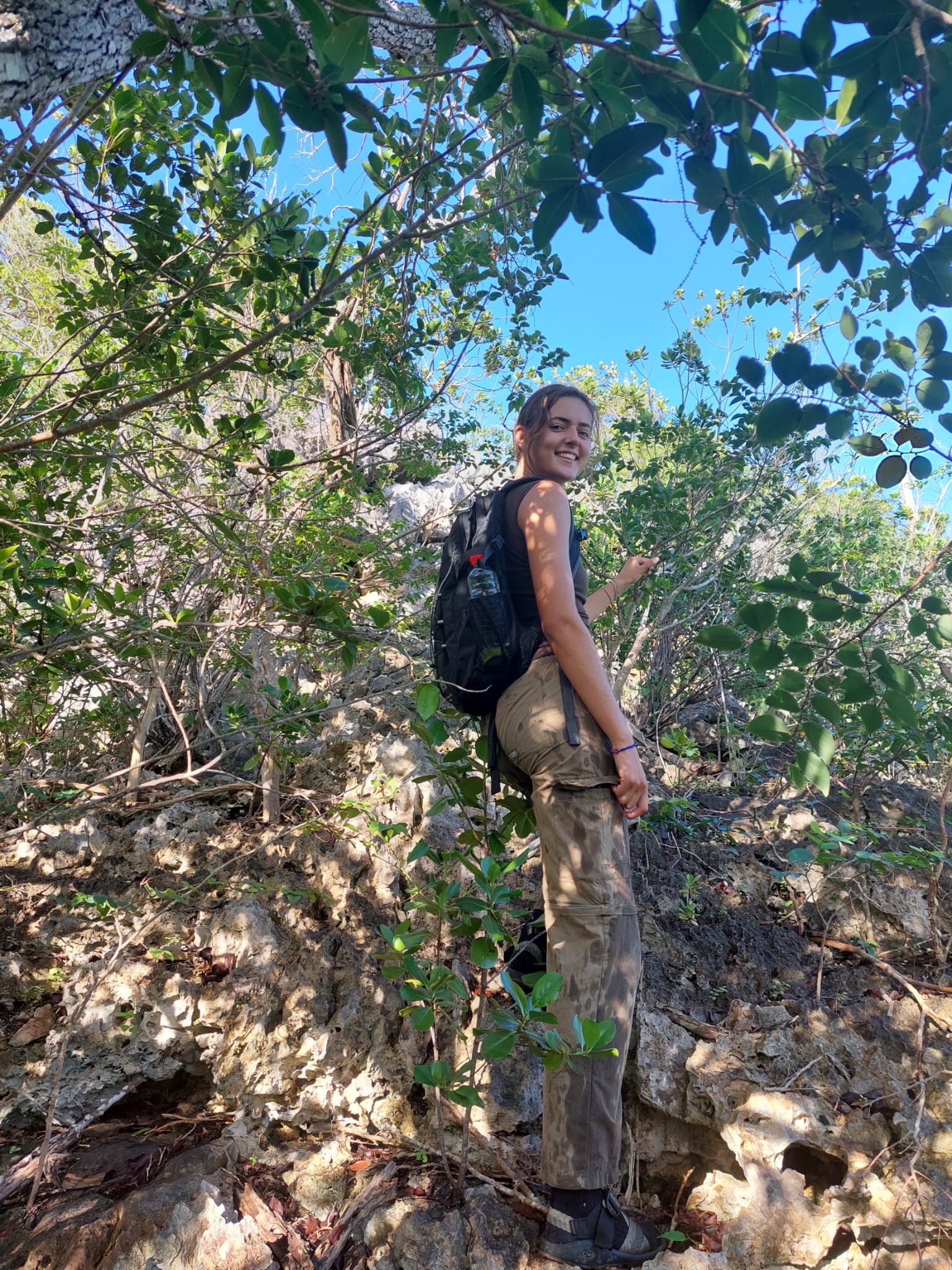 Fieldwork :)