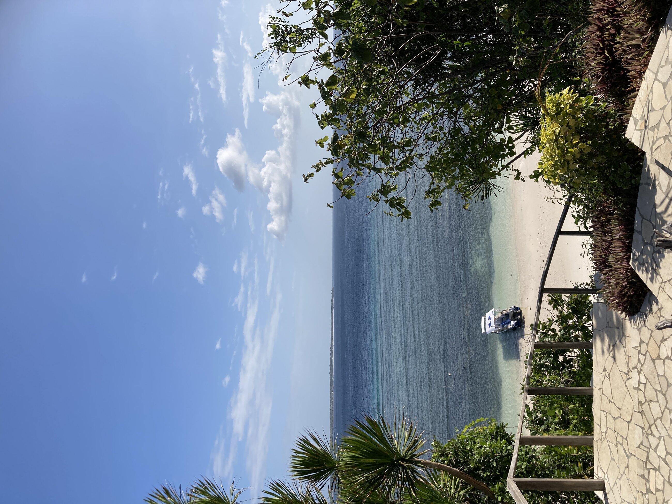 View from the dive resort