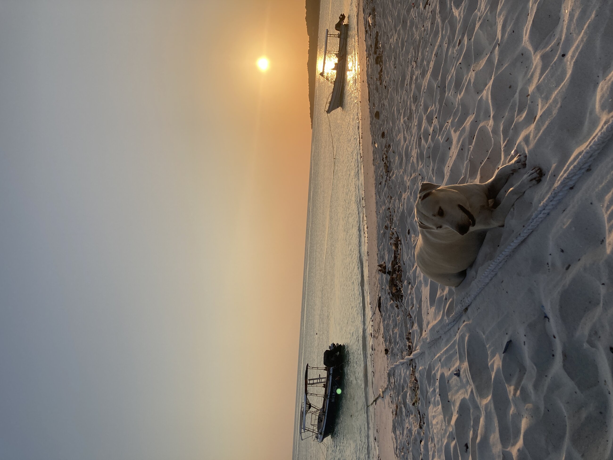 Amazing sunsets