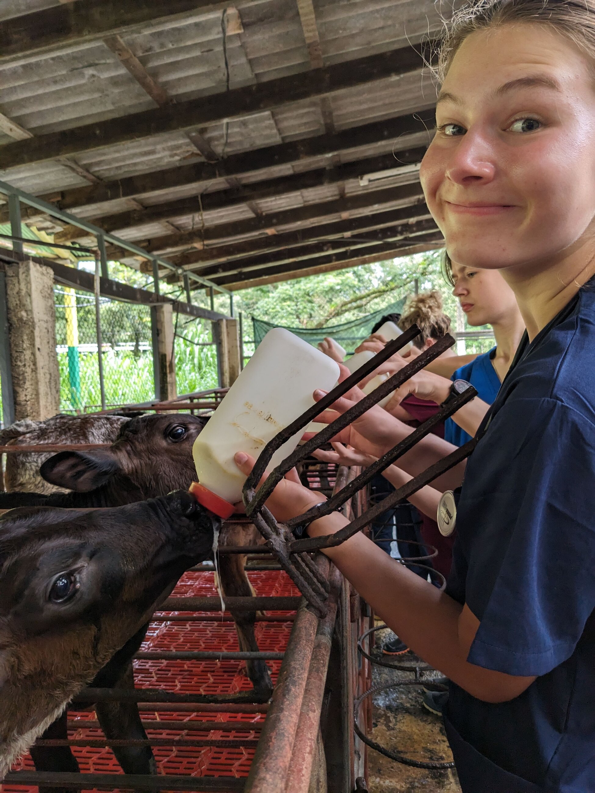 I could never pick a favorite day of the trip, but hanging out at the calf farm and feeding the baby's was definitely one of my top 22 days!  