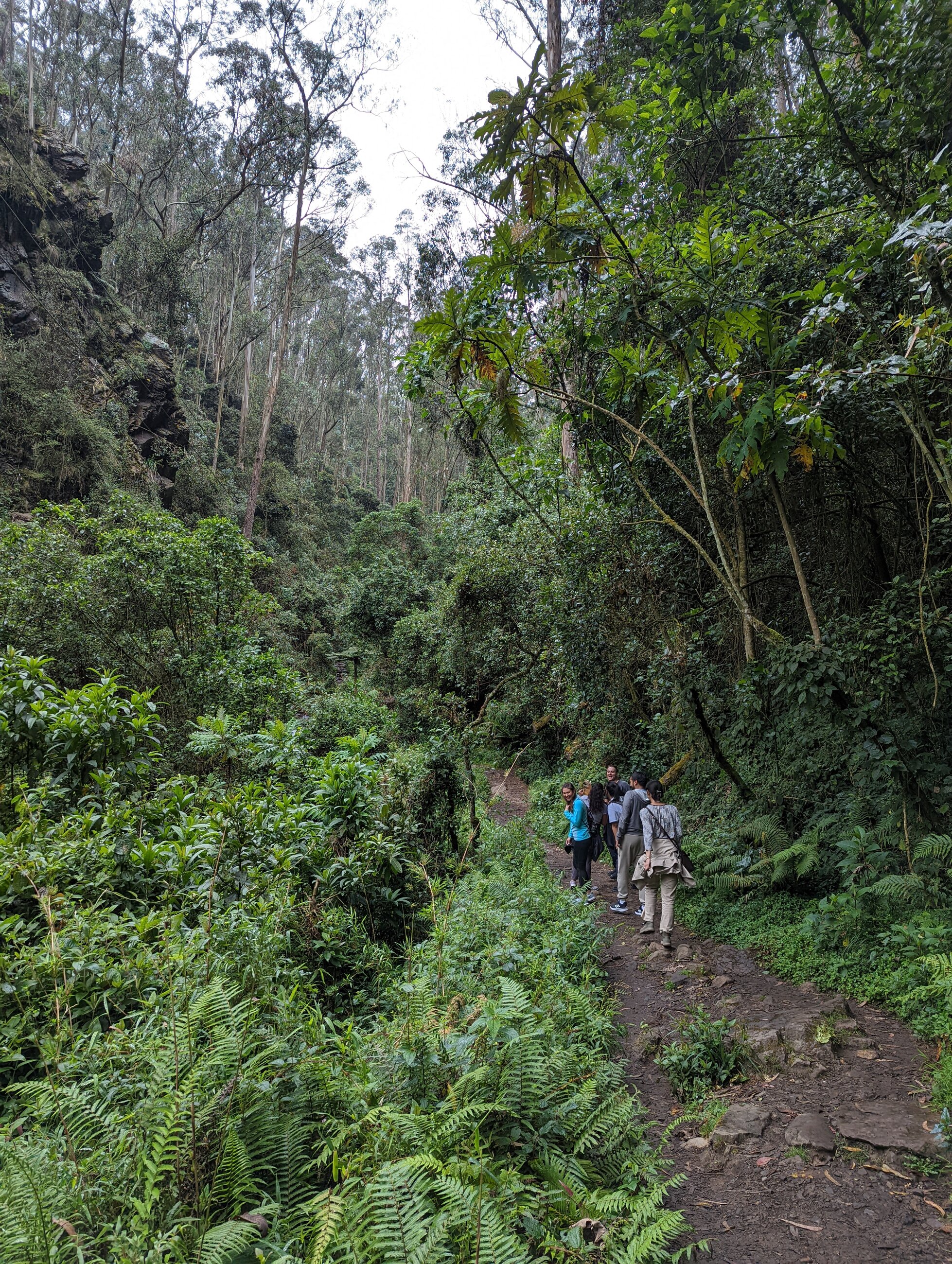 A hike organised by Gotoco in our first week there