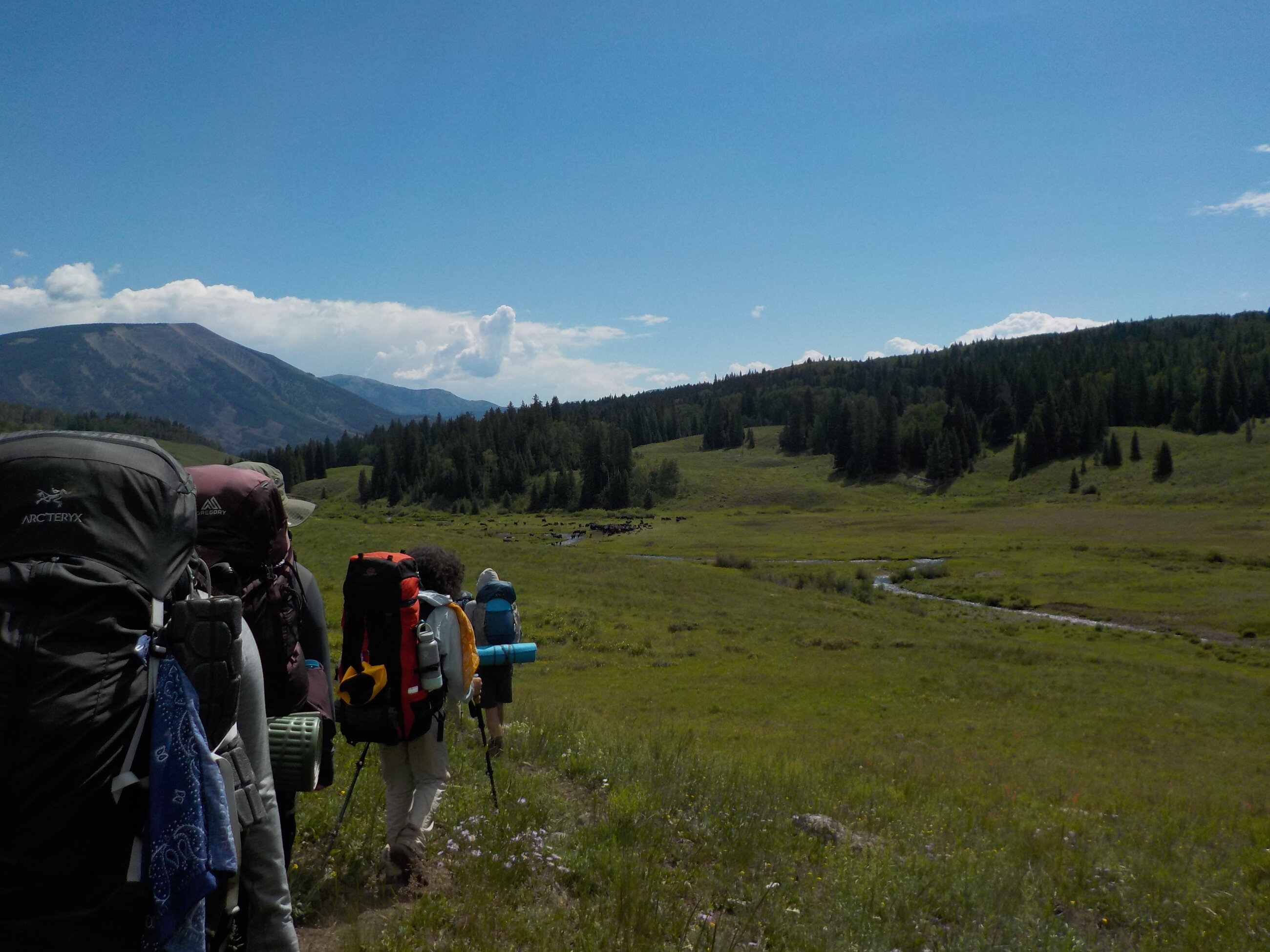 Backpacking 
