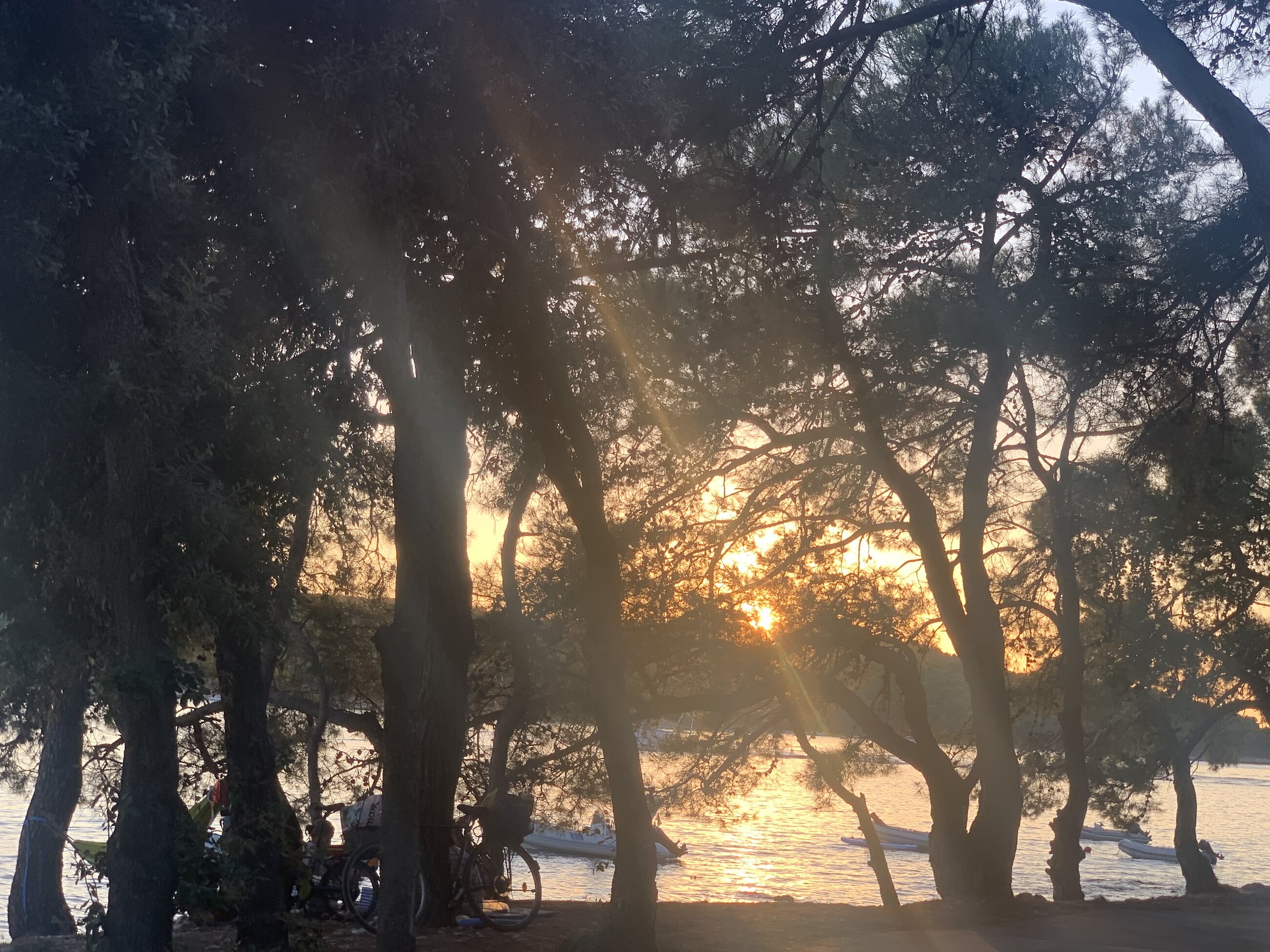 Taking a walk by the campsite next to the workplace