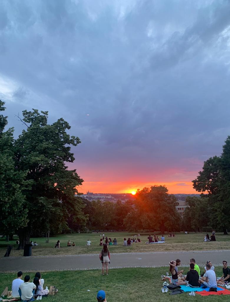 View of the sunset at Riegrovy Sady