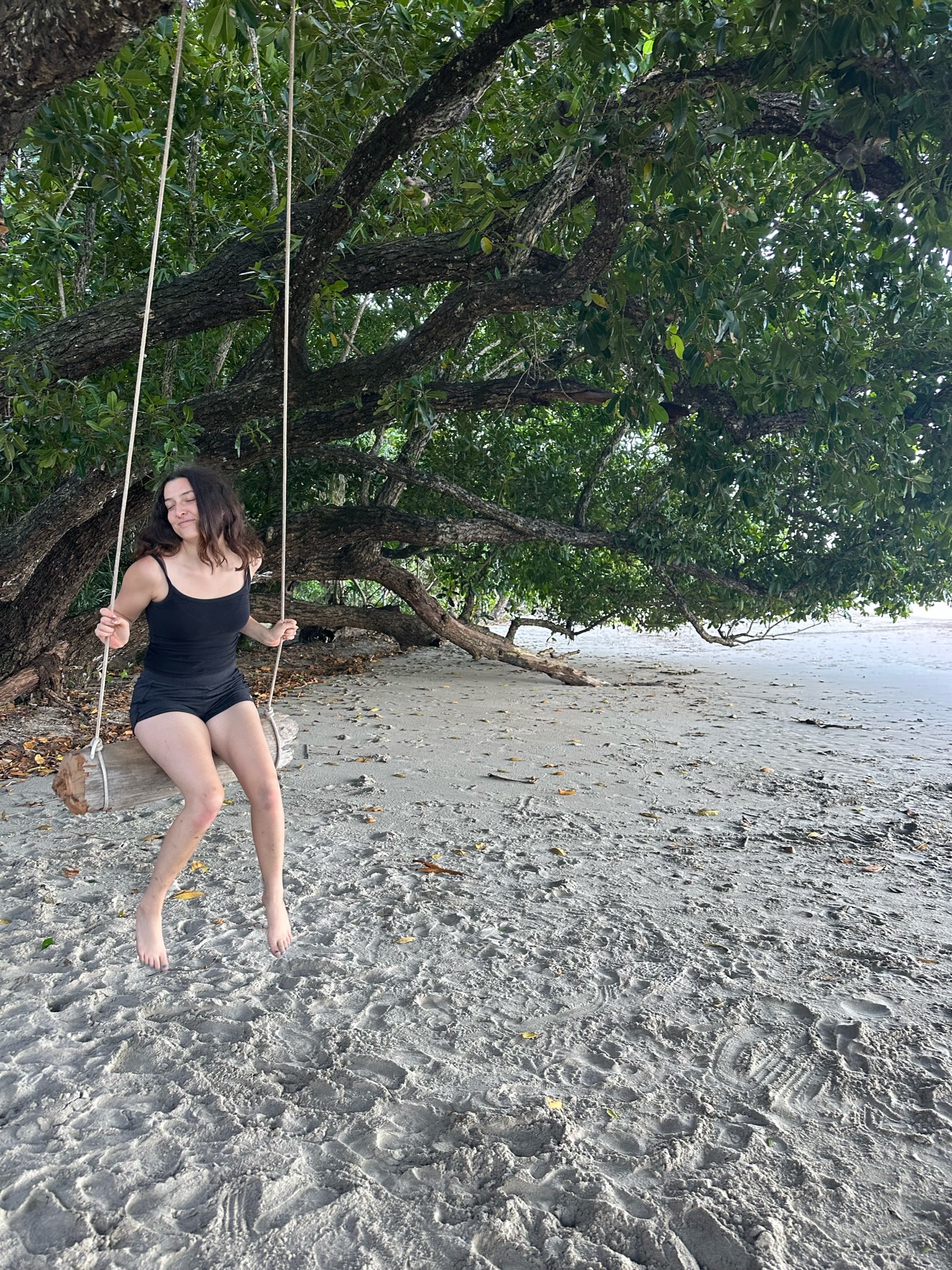 Me on a tree swing I found in Cairns! 