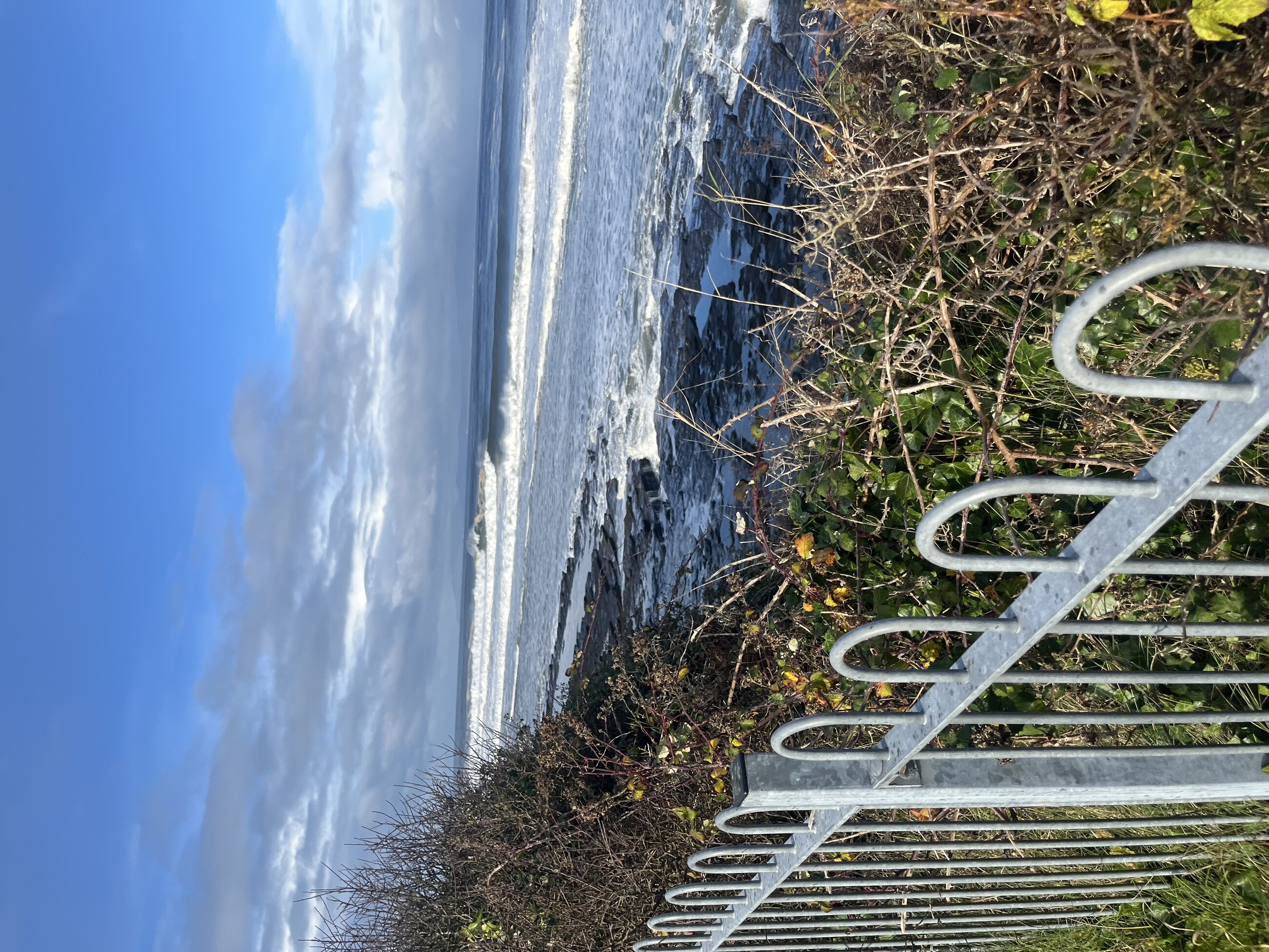 Big swell