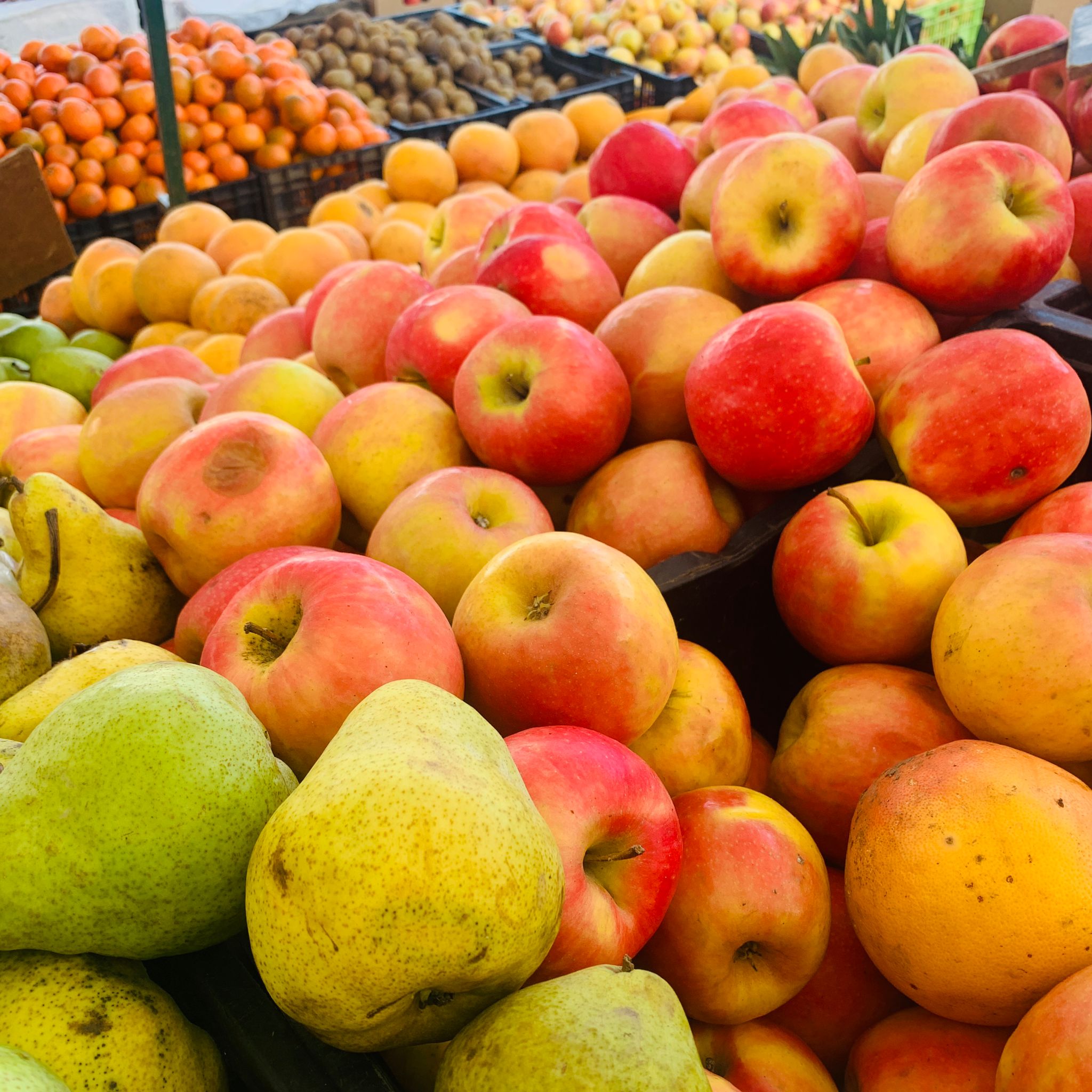 Fresh, delicious fruit at the farmer's market.