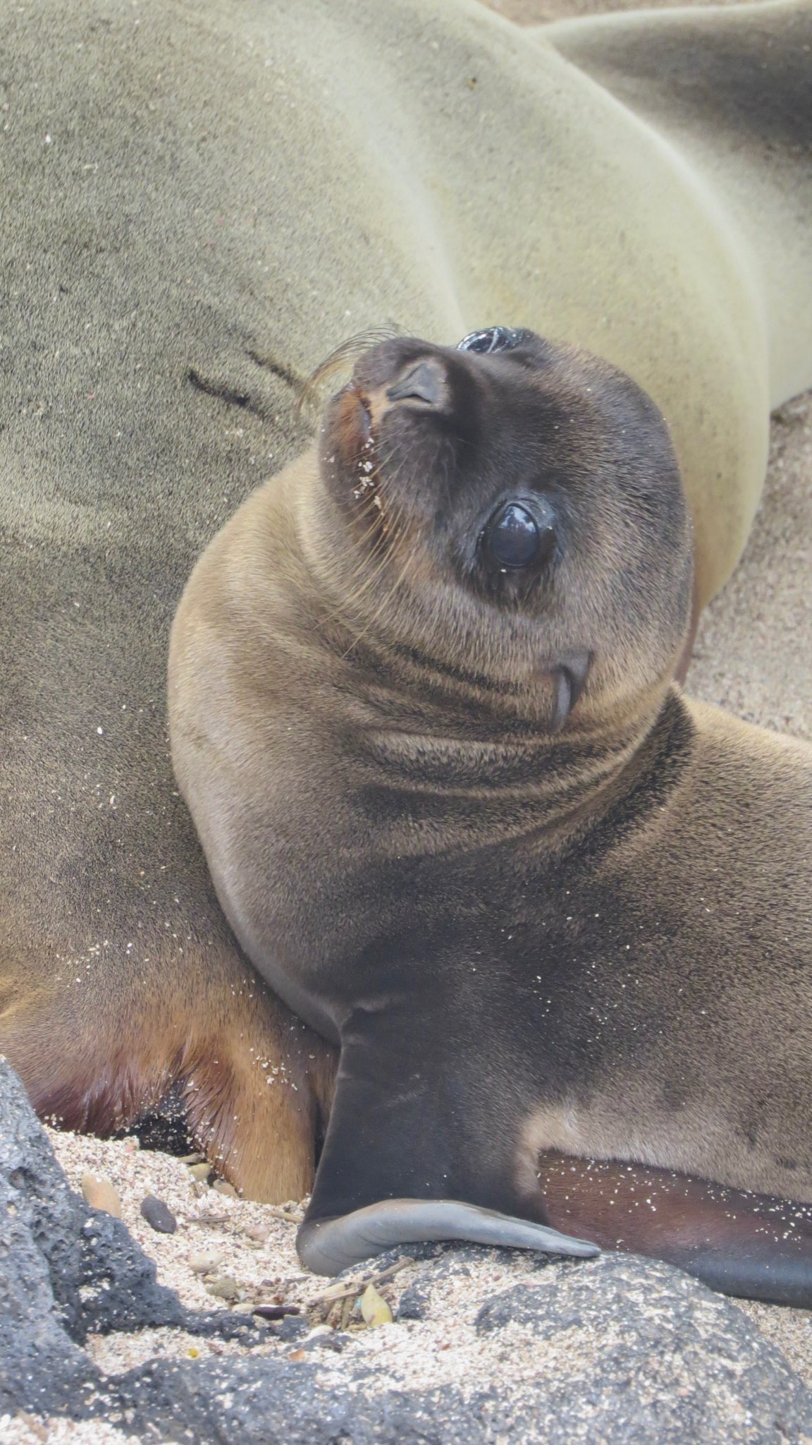 Kiss me!