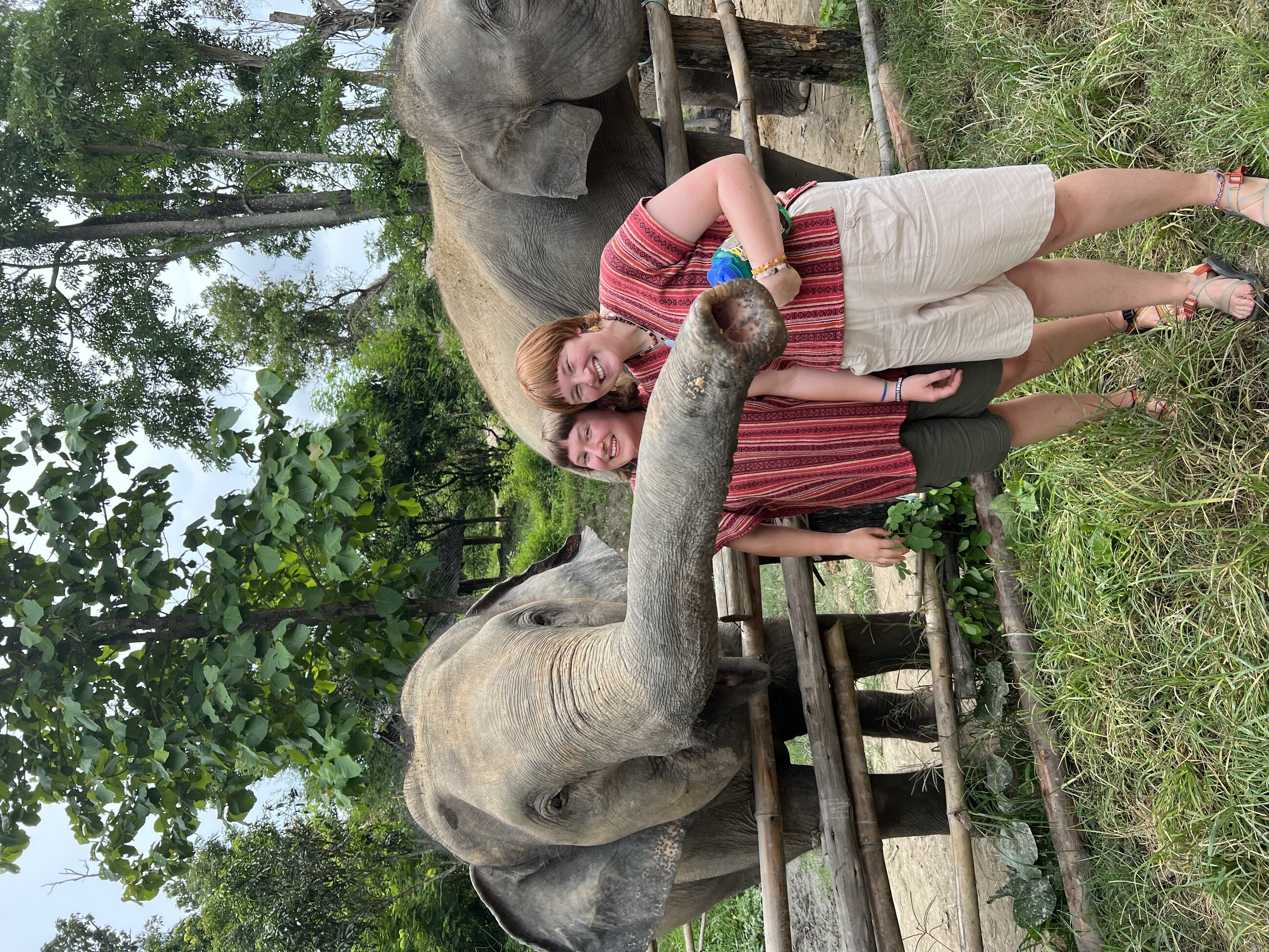 This was at an elephant sanctuary as part of a program field trip! It was truly amazing and a once in a lifetime experience. We were able to feed the elephants, give them a mud bath, and bathe with them!