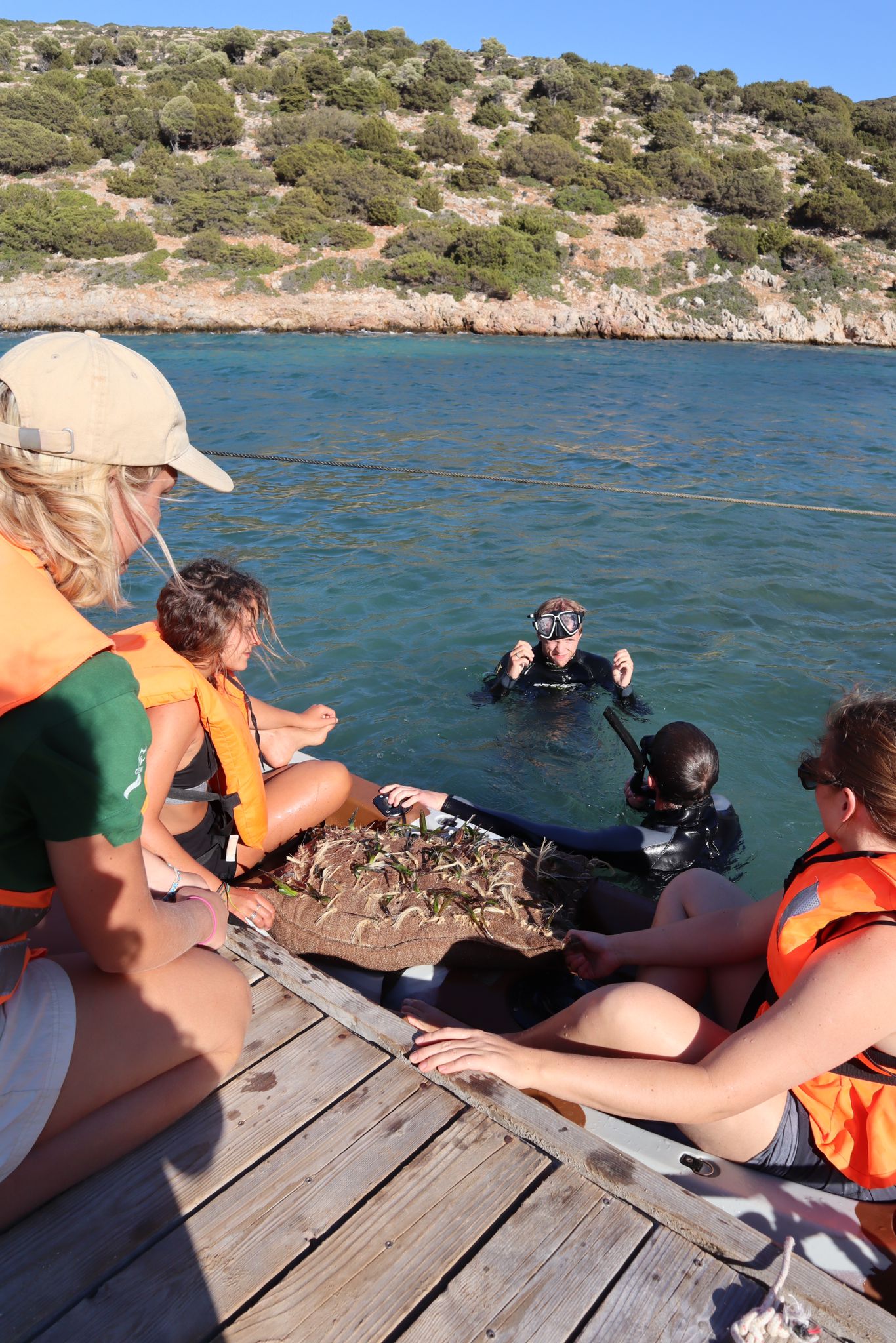 Posidonia oceanica replanting