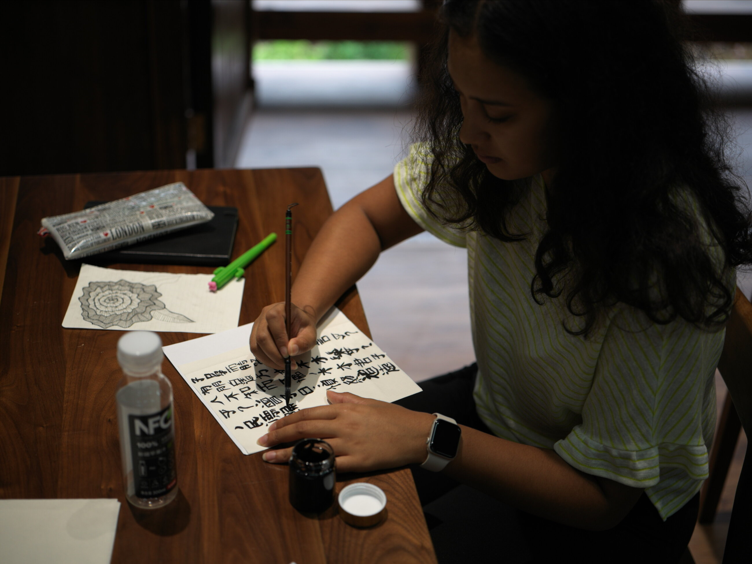 Learning Chinese calligraphy 
