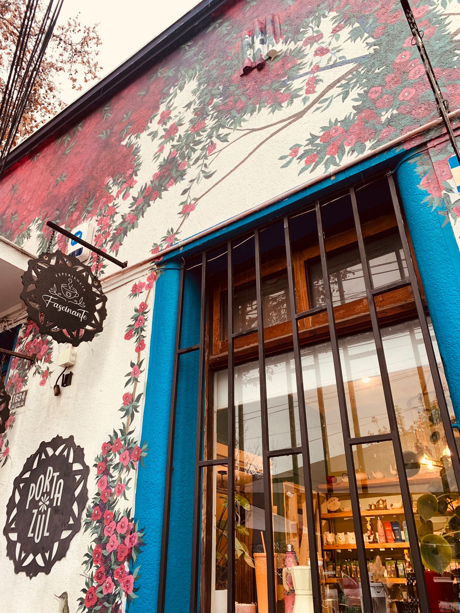 All of the buildings in Barrio Italia are beautifully painted; this one for a tea shop is my favorite.