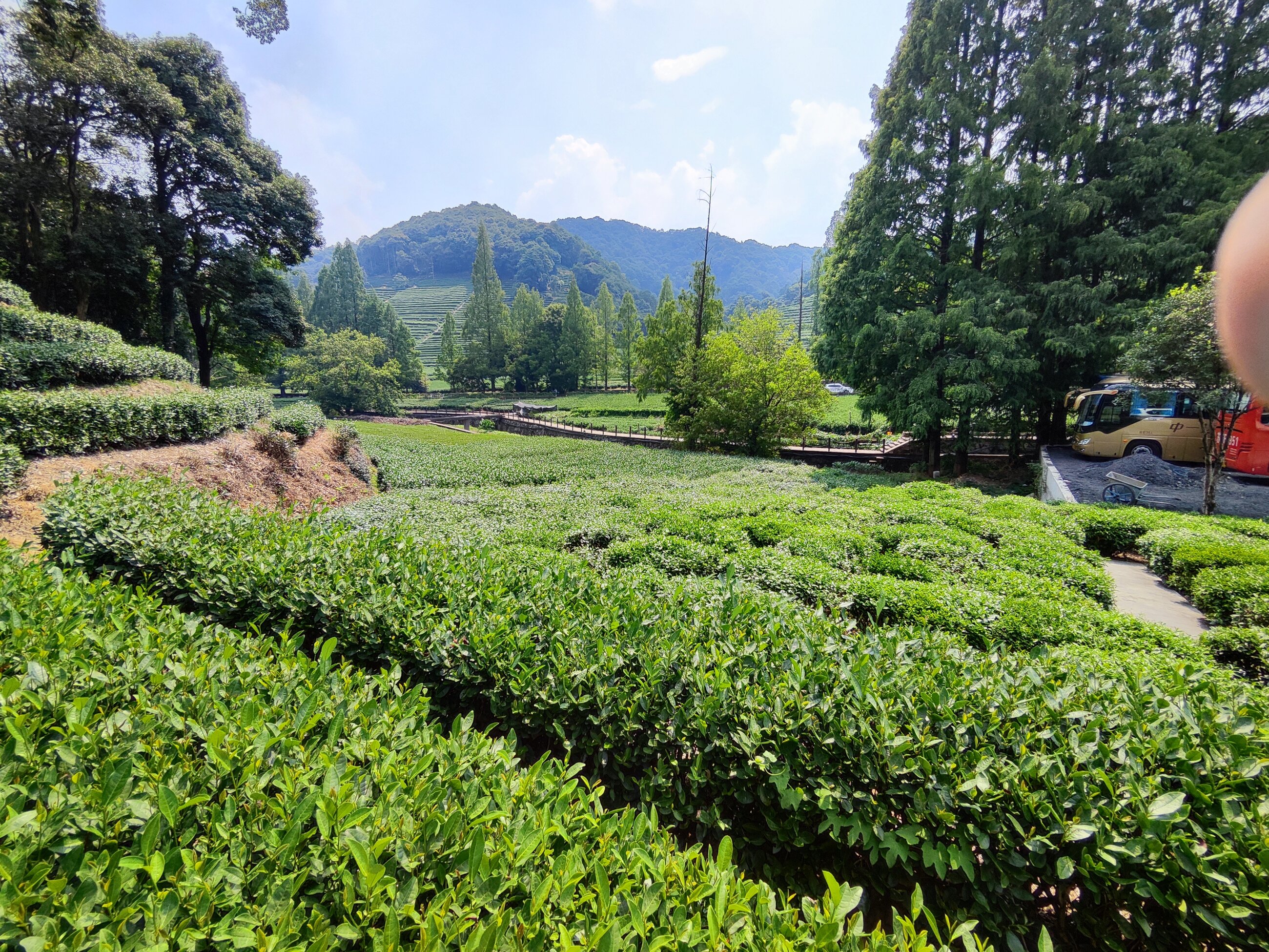 longjing mountain in Hangzhou