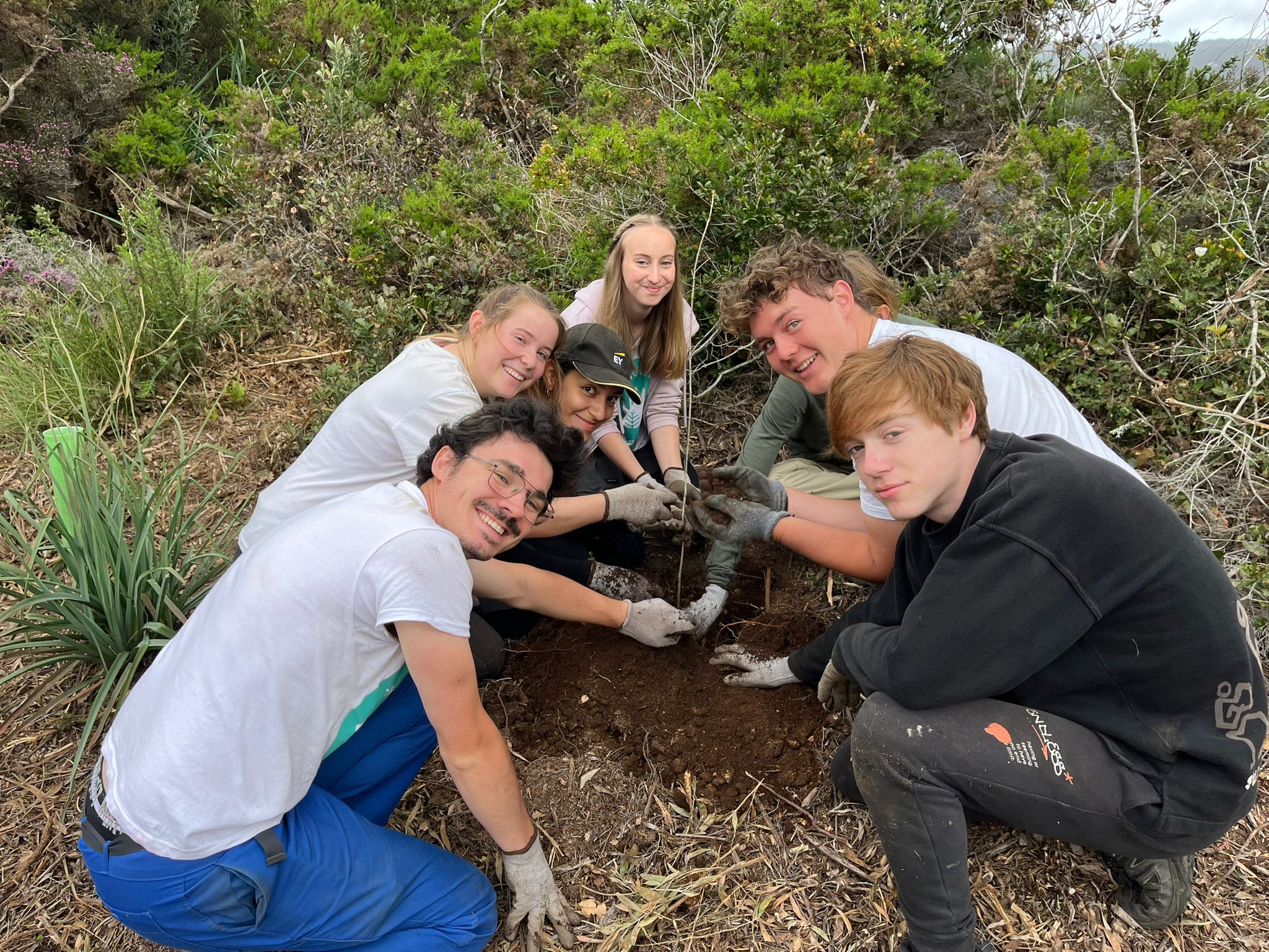Our forrest crew planting the final tree of the planting season
