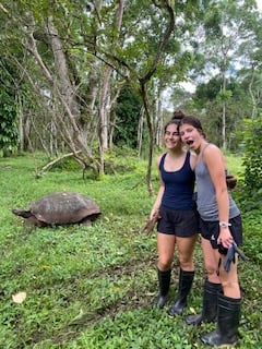 With the tortoises!