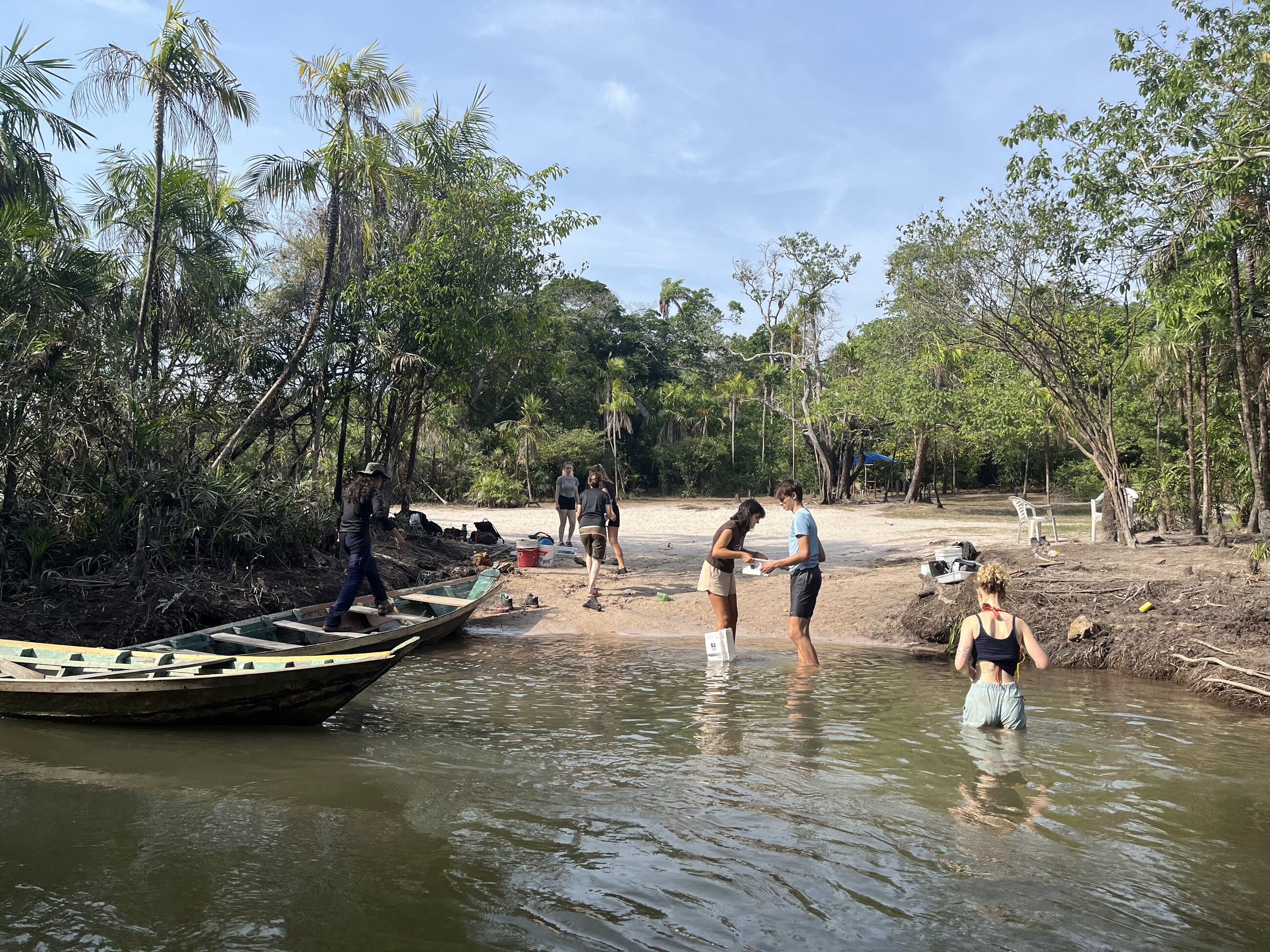 Fish inventory