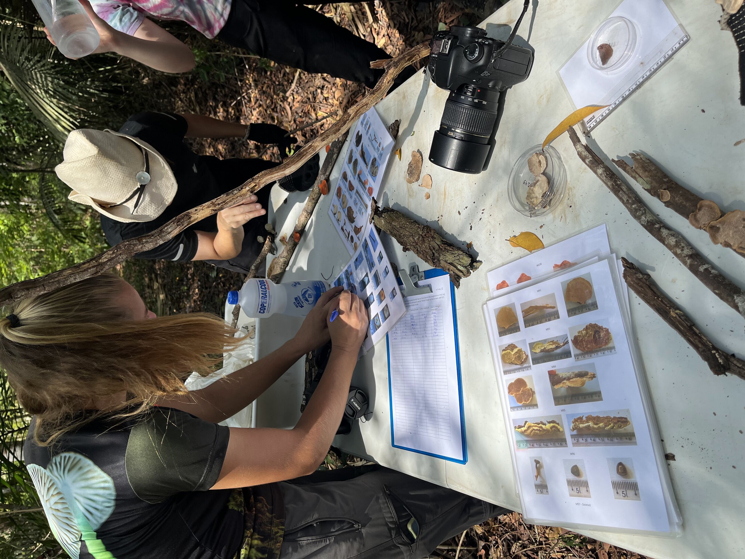 Mushroom inventory