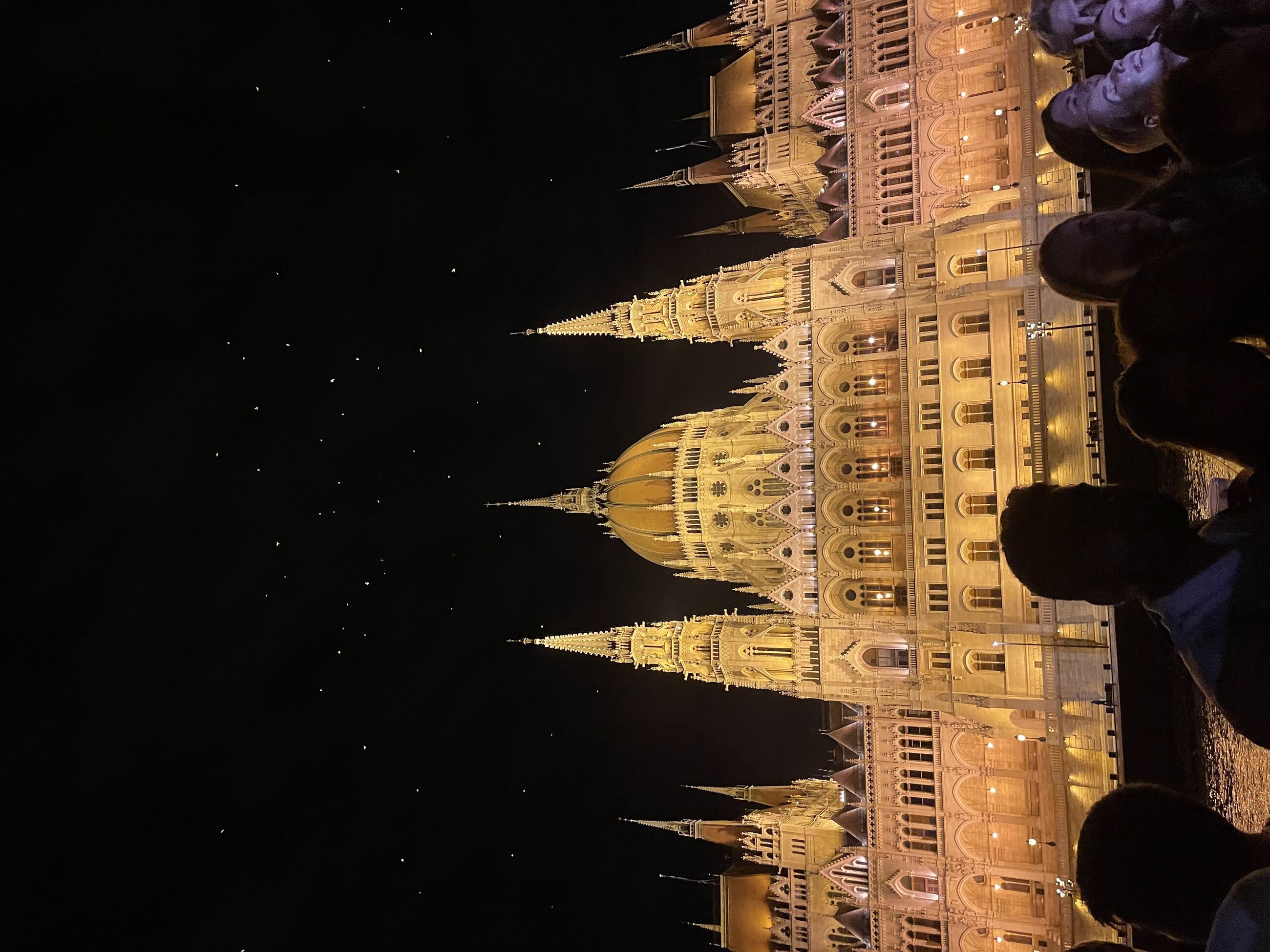 Hungarian Parliament Building