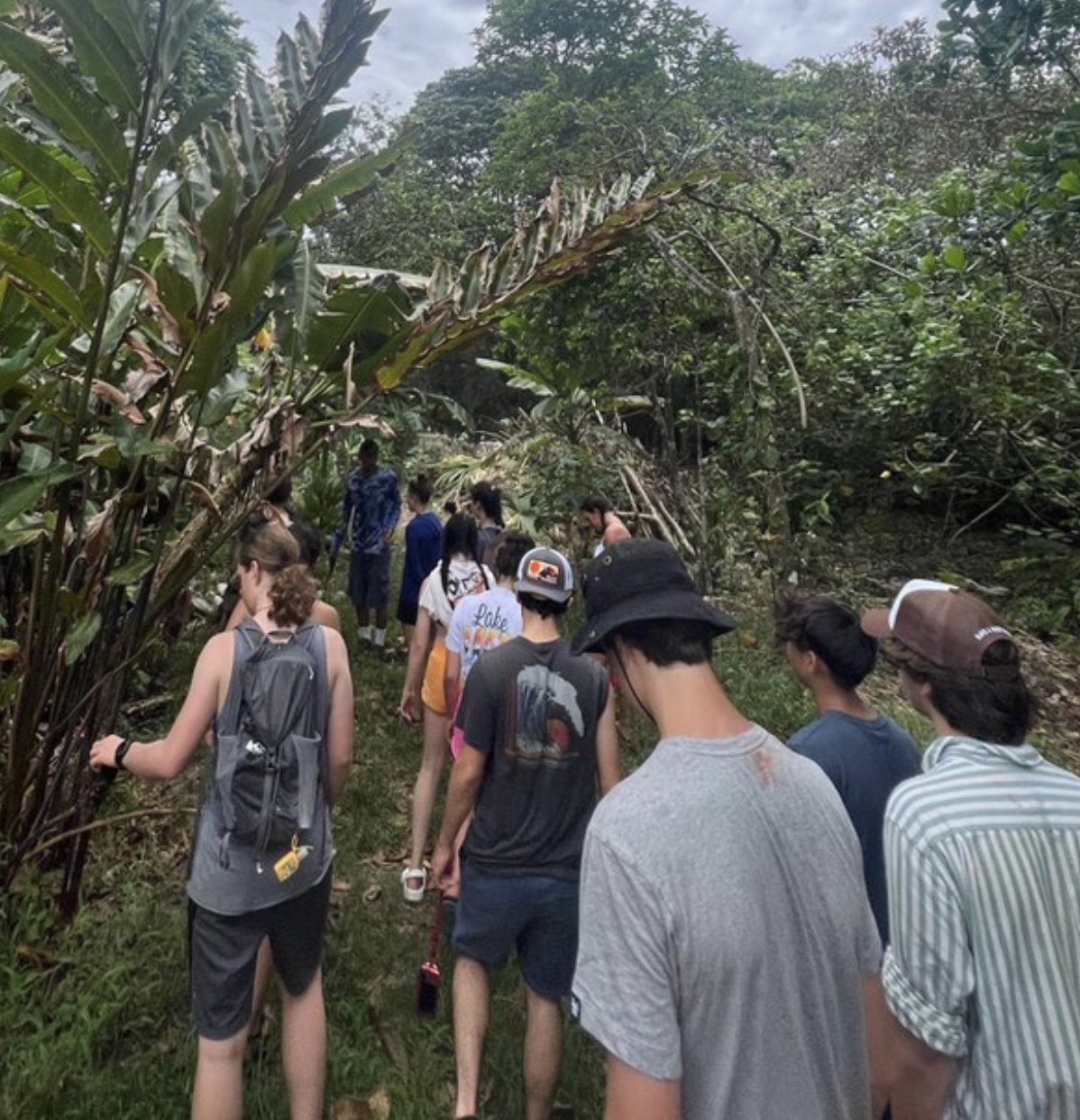 Costa Rica Sea Turtle Initiative
