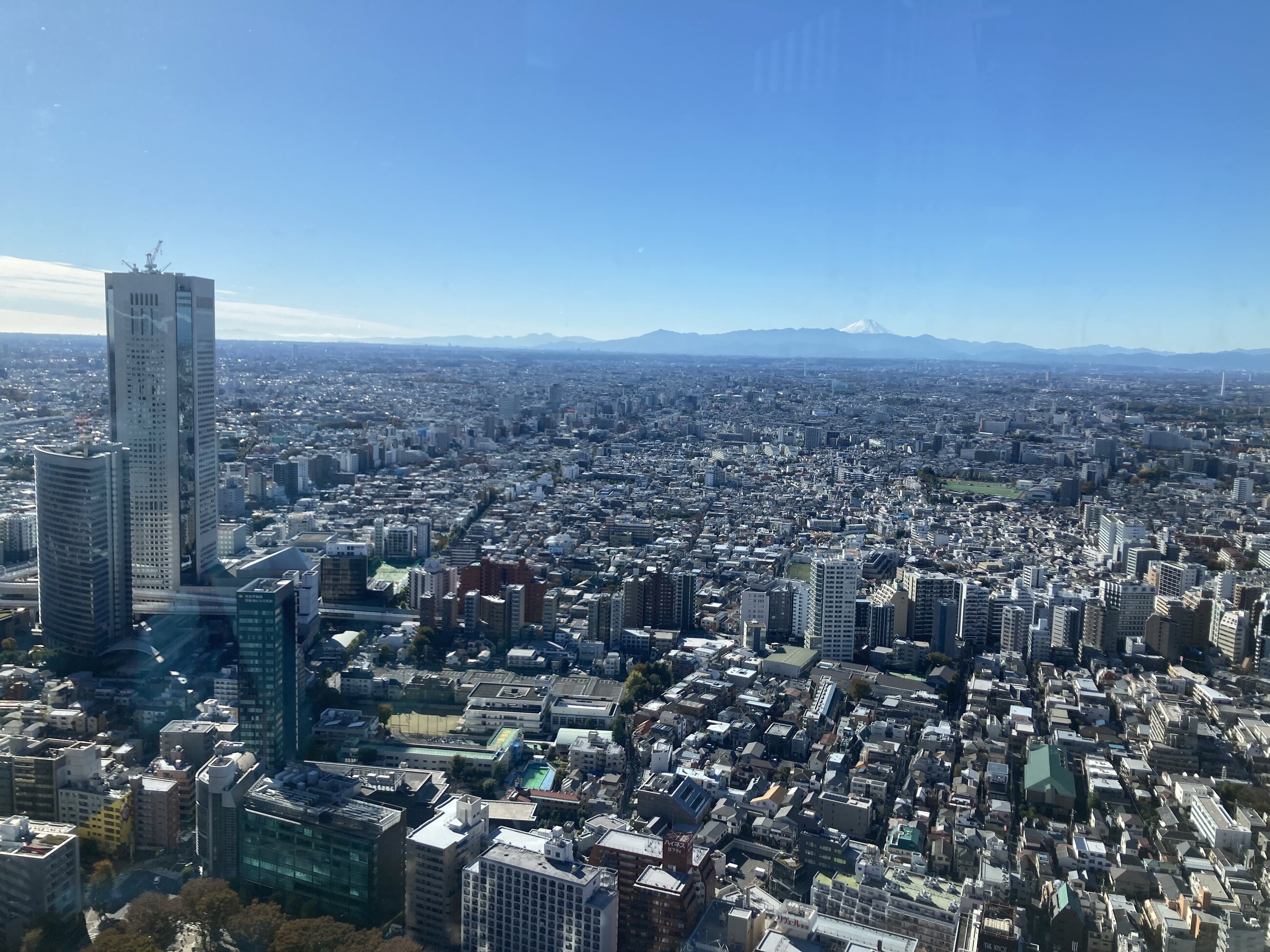 View over Tokyo with Mt. Fuji in the background
