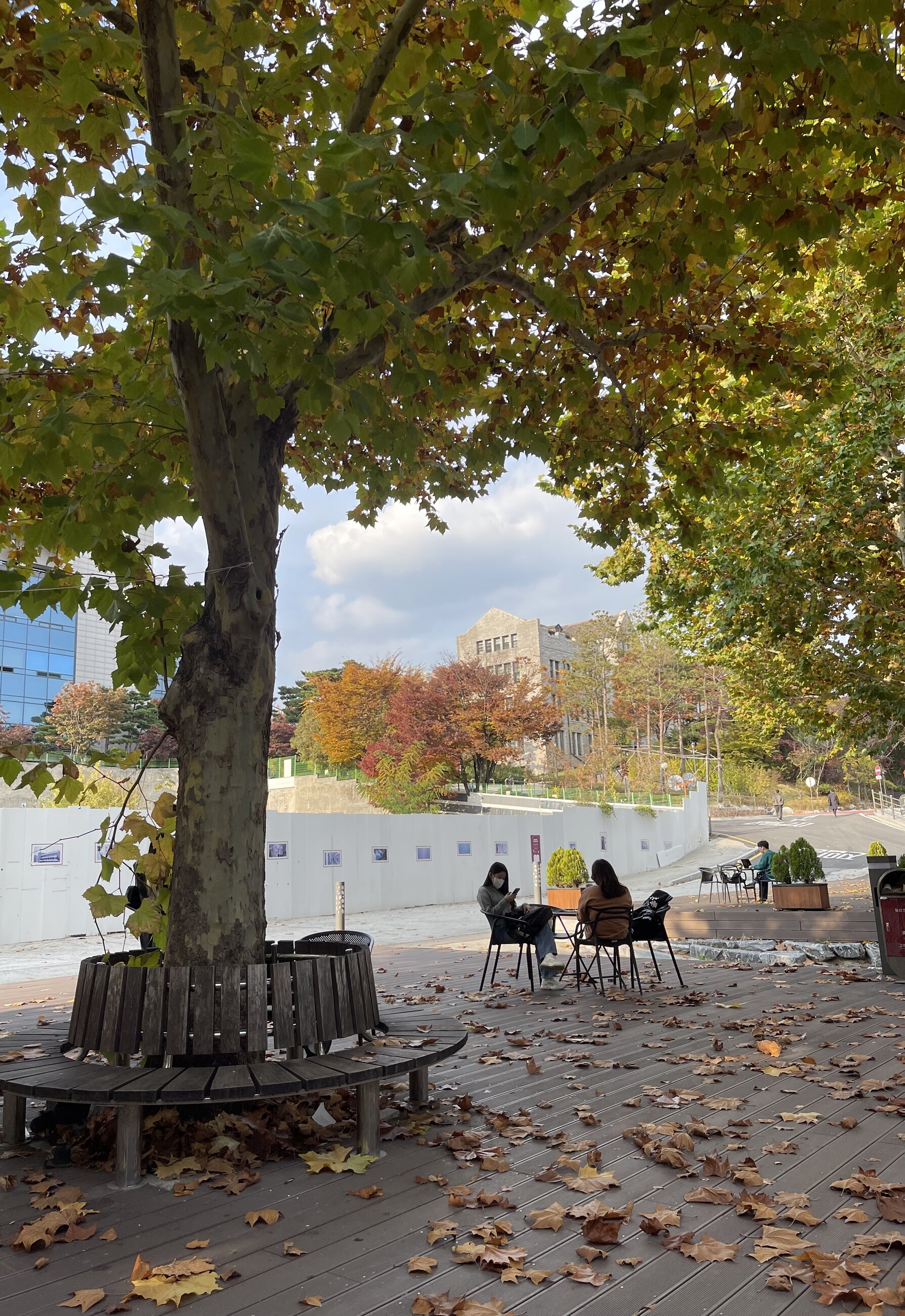 Autumn Time at KU