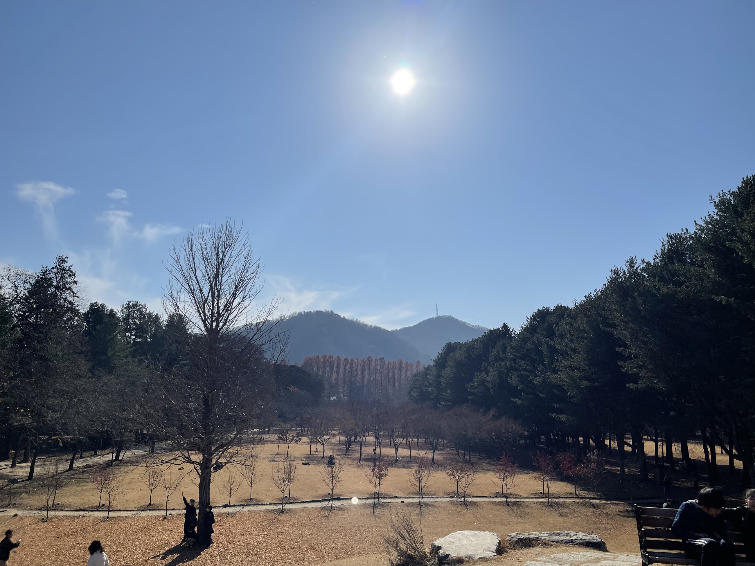 Nami Island