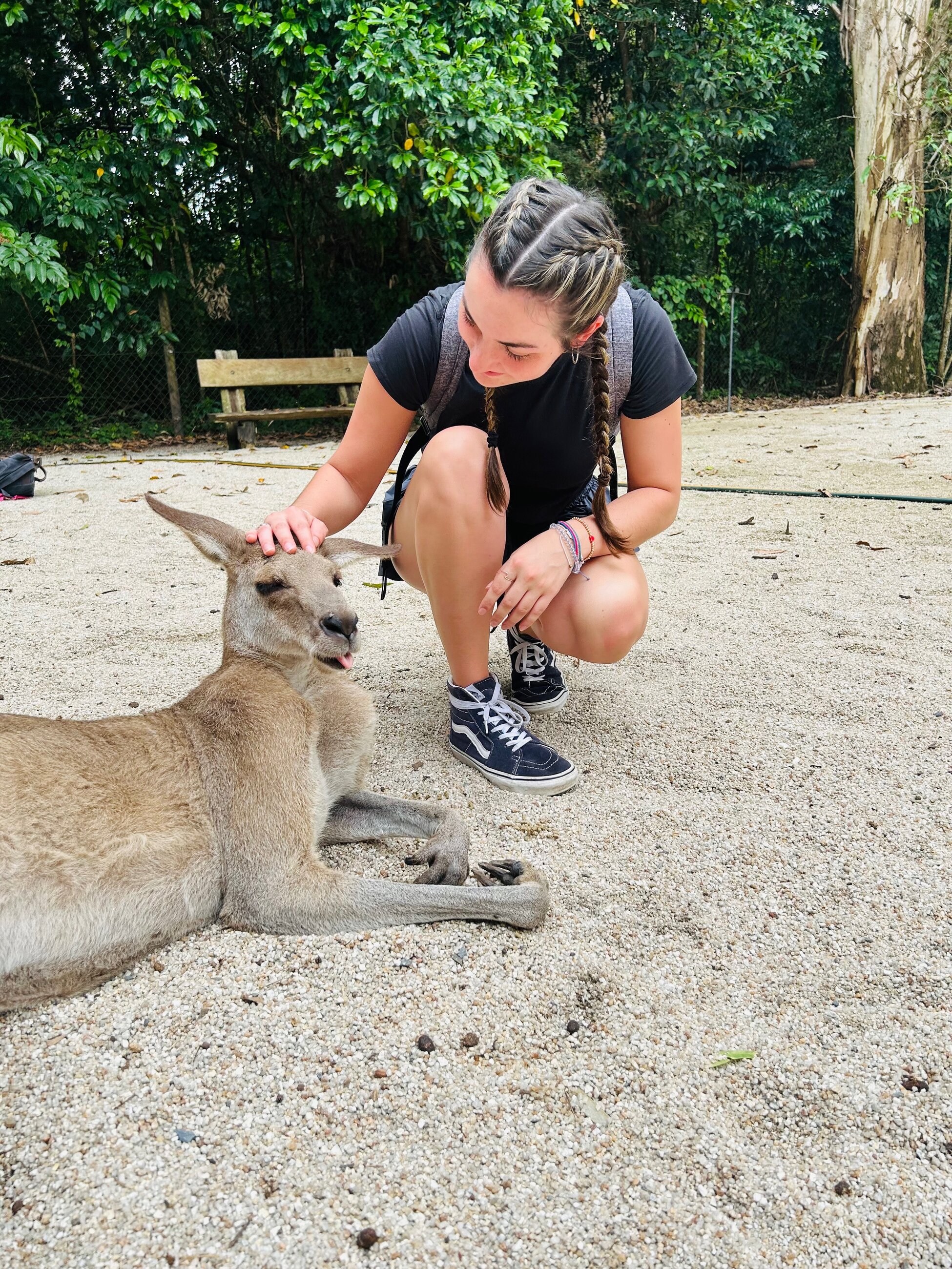 Kangaroo!!