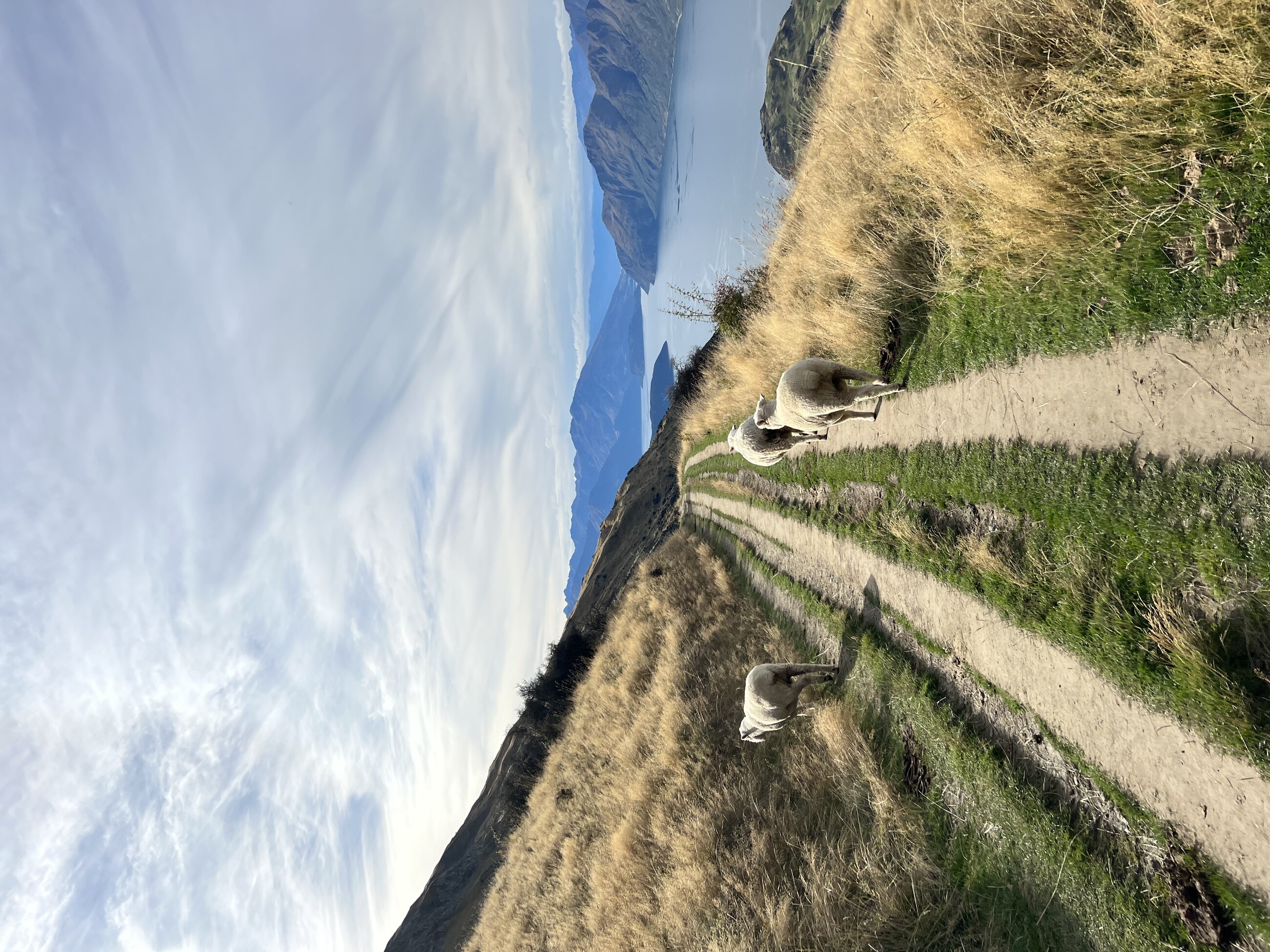 Roys Peak, Wanaka