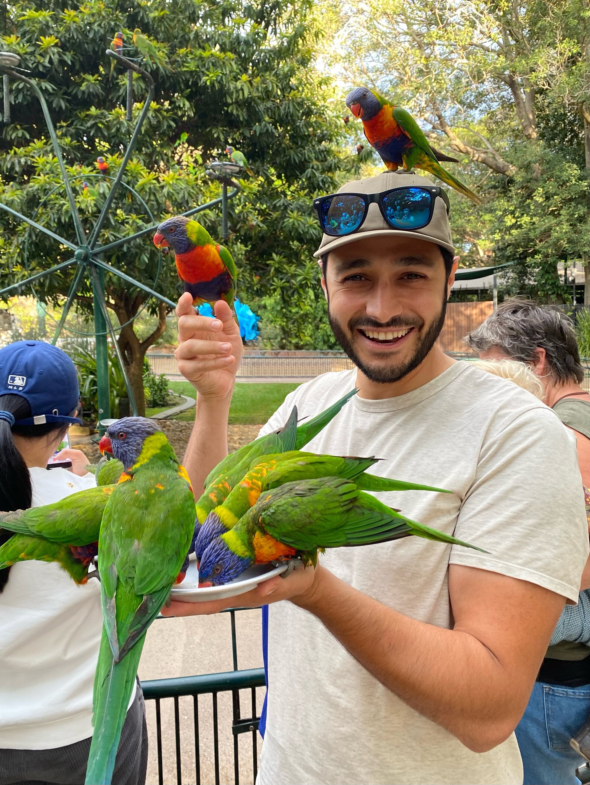 Rainbow Lorikeets!