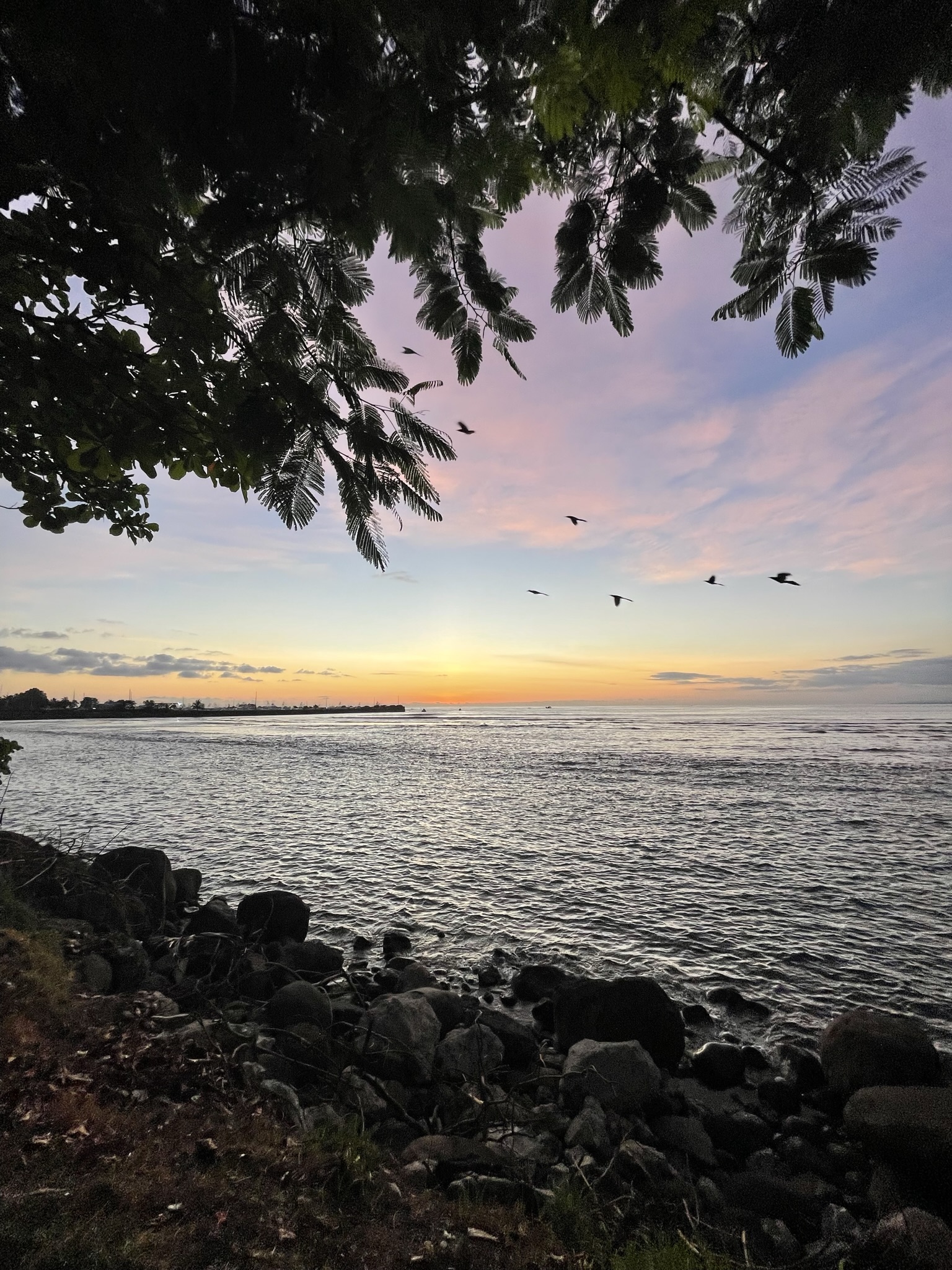 Sunset view from down by the Marina in Quepos