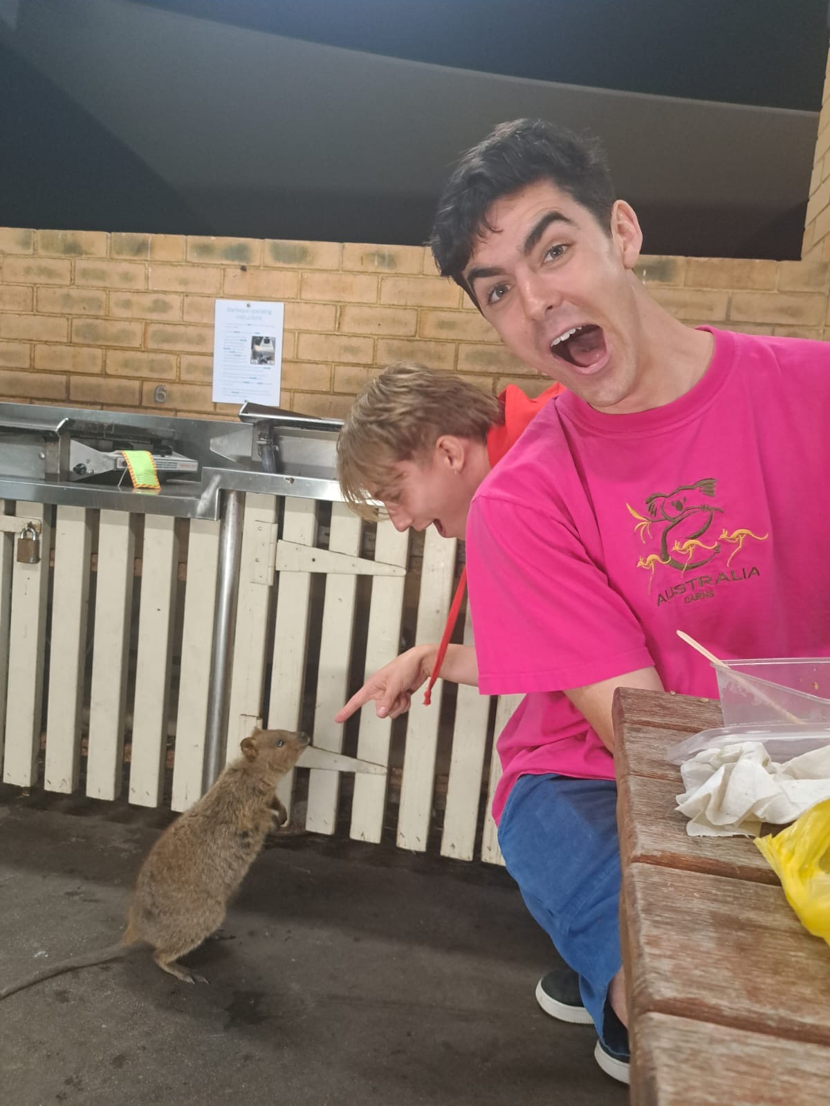 Quokka Moment on Rottnest Island
