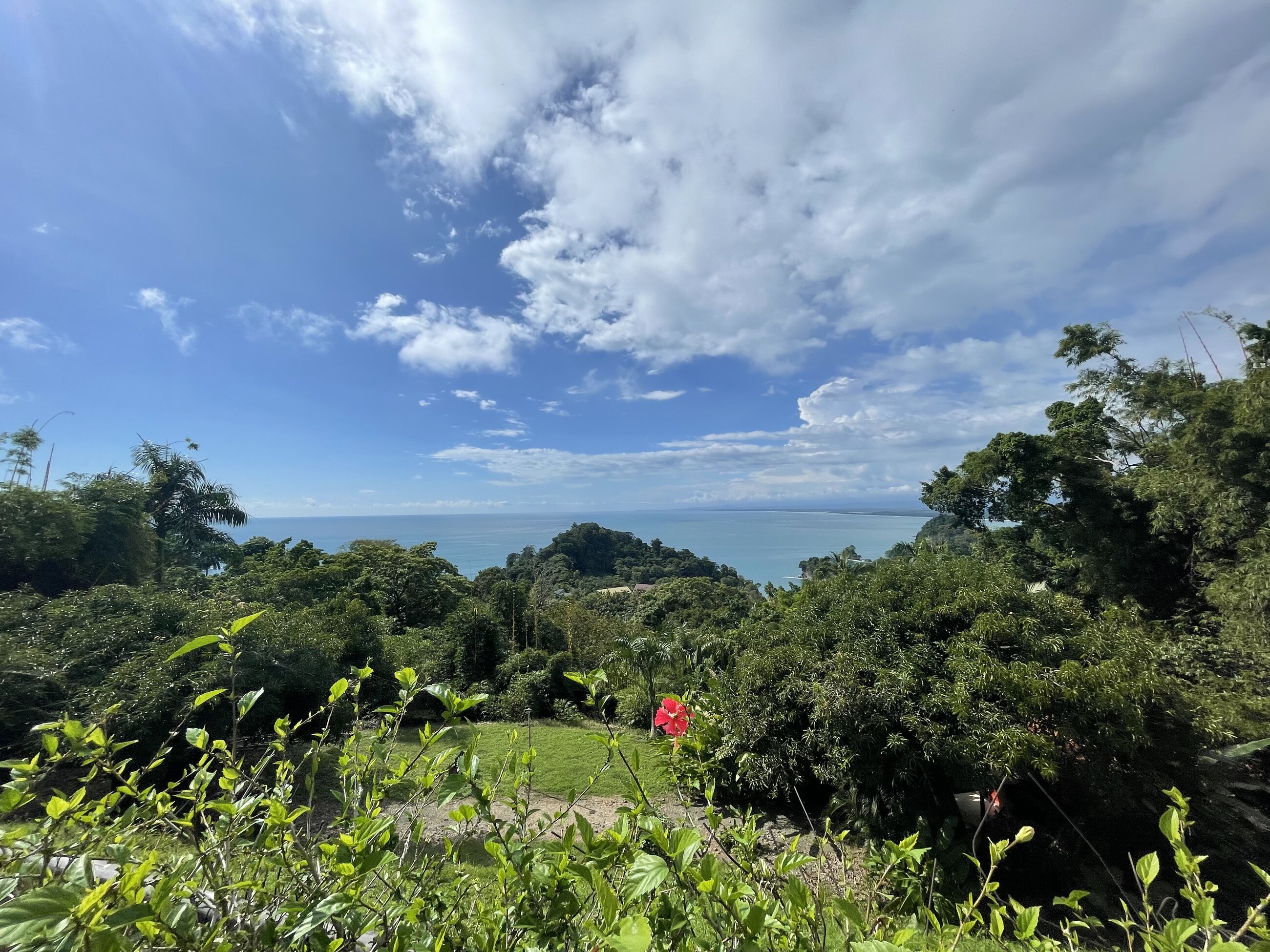 View from the road that leads to Manuel Antonio Beach