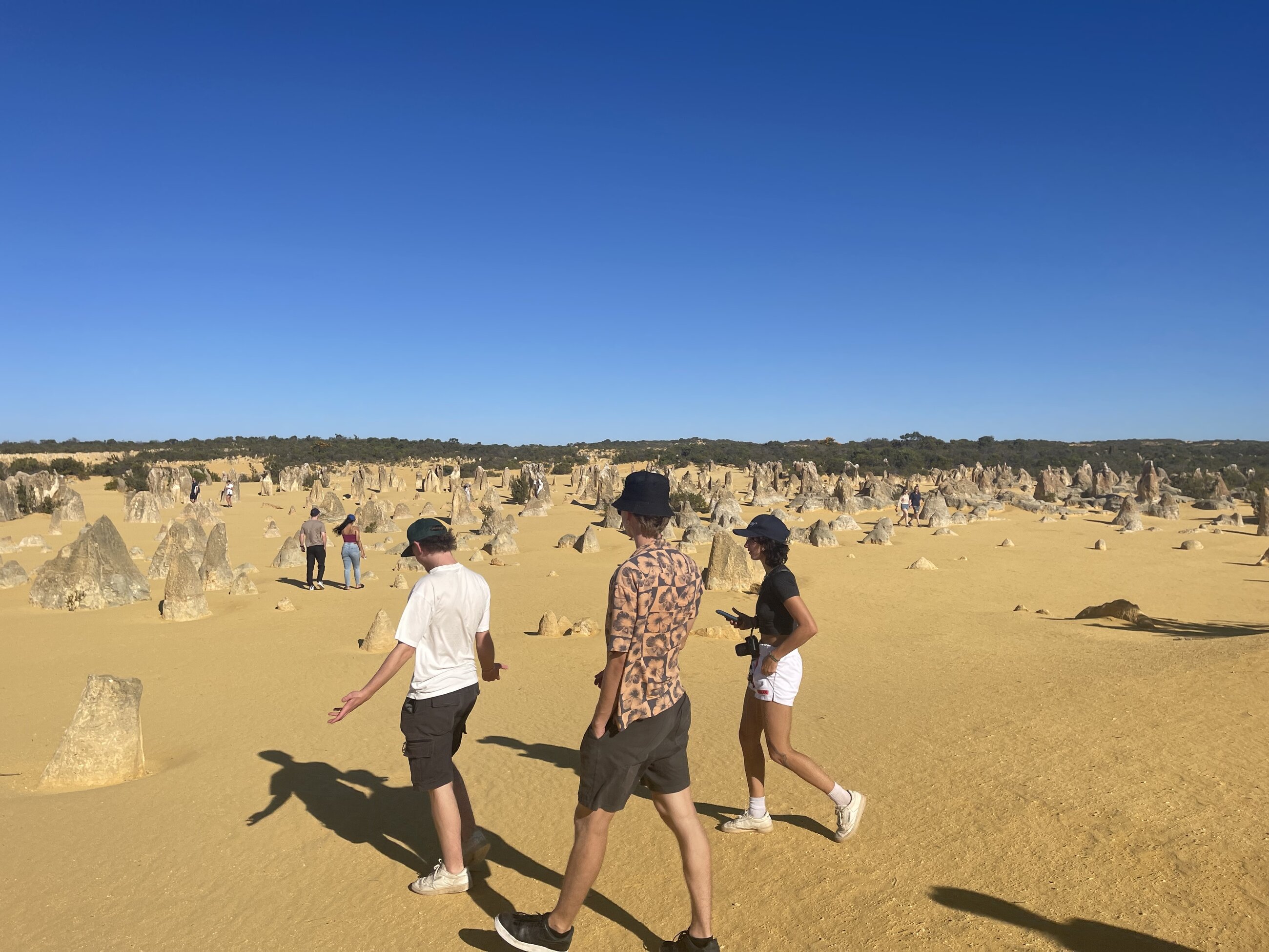 Pinnacles in Nambung National Park