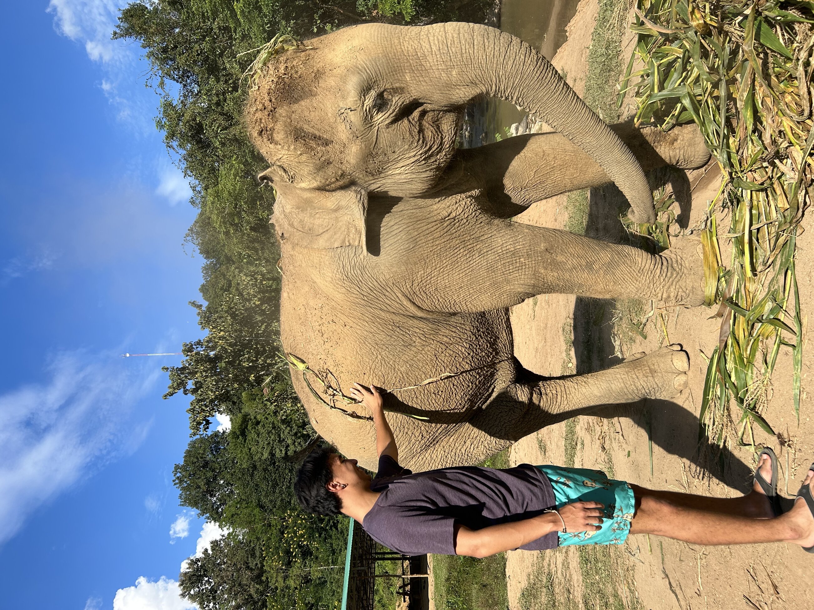 Elephant Sanctuary 