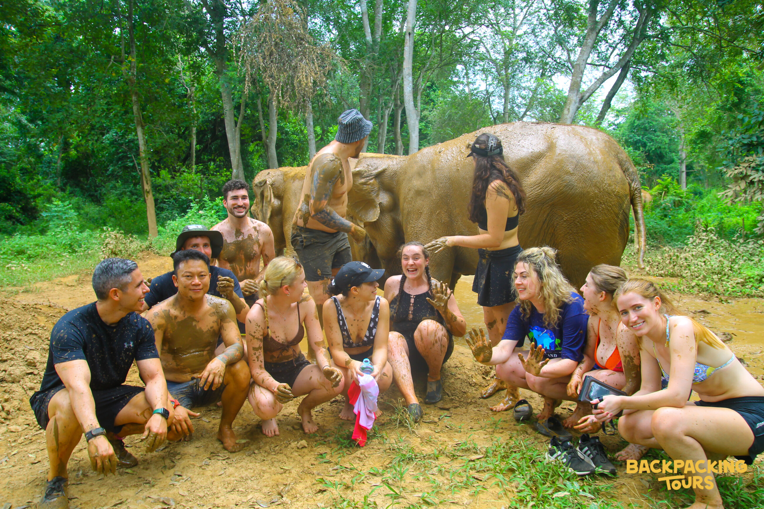 Elephants