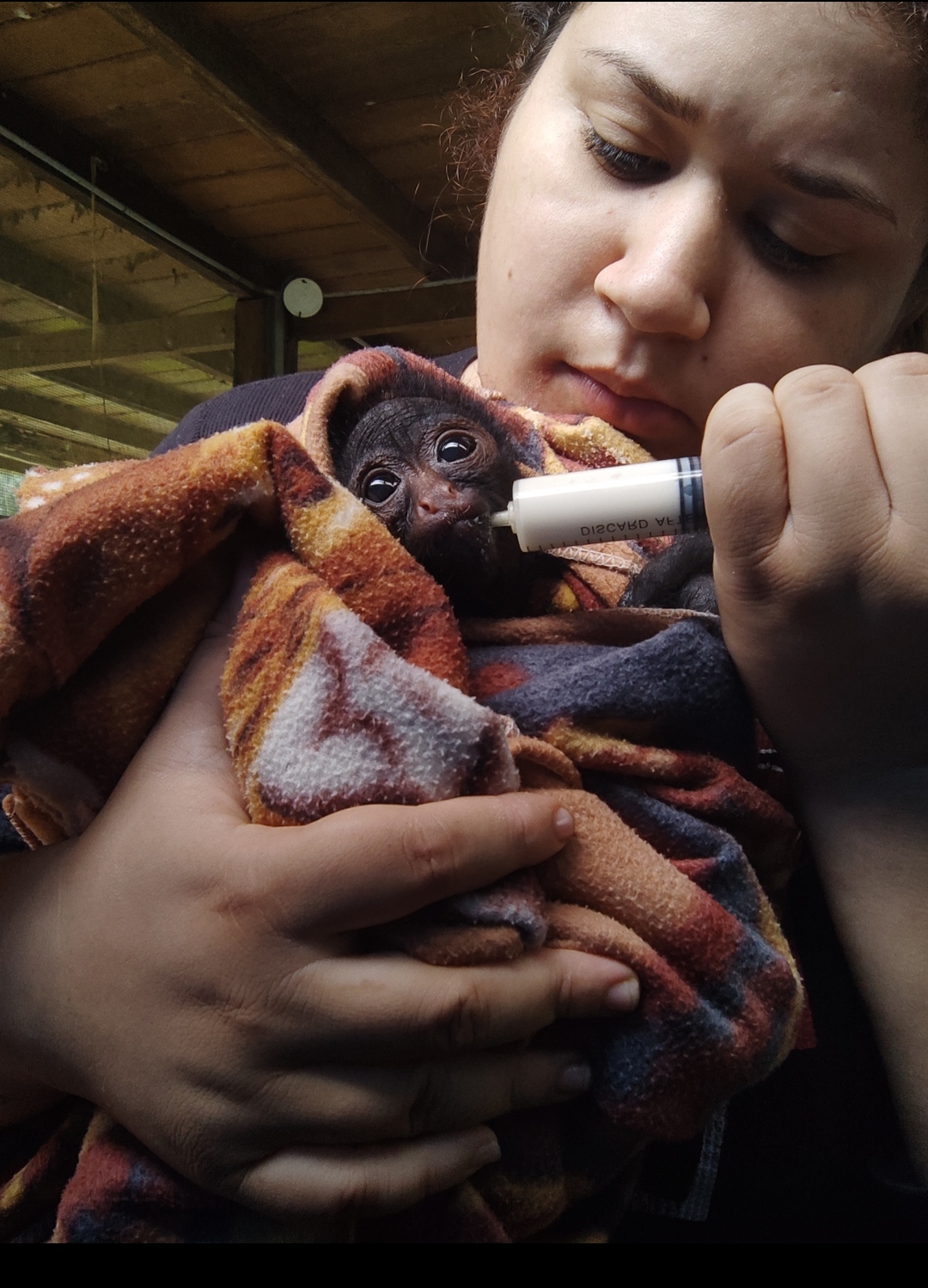 My best moment is beeing with this baby! And helping her! She will be reintroduced in her area!