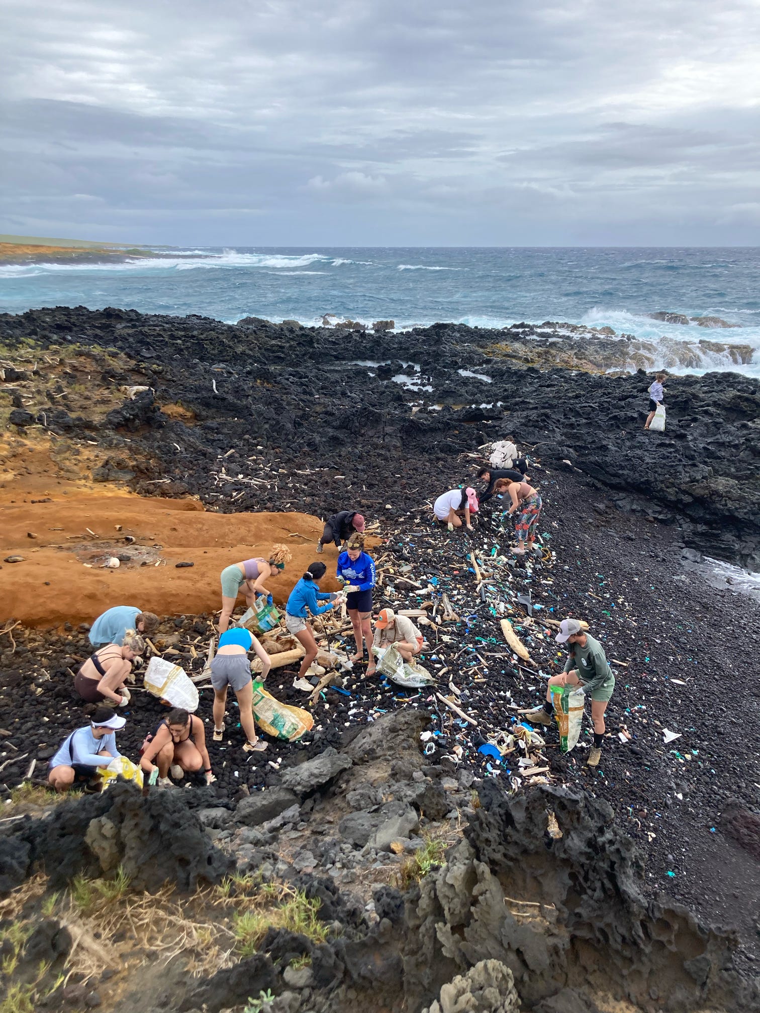 shore cleaning