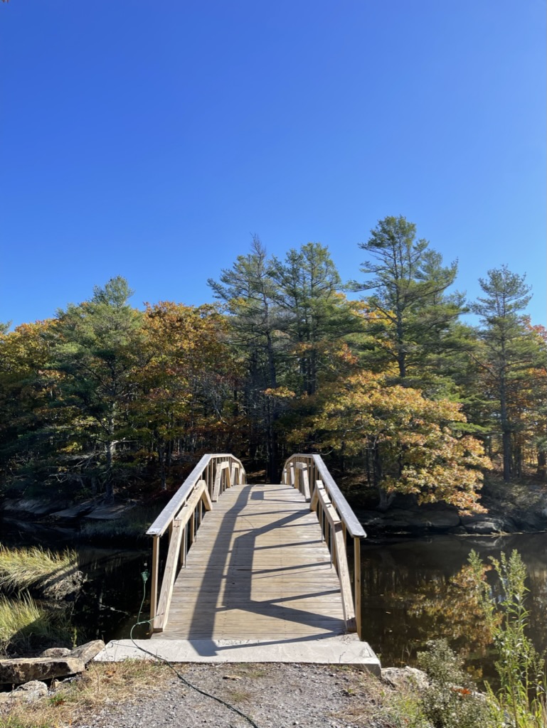 the bridge to tree house and cook house