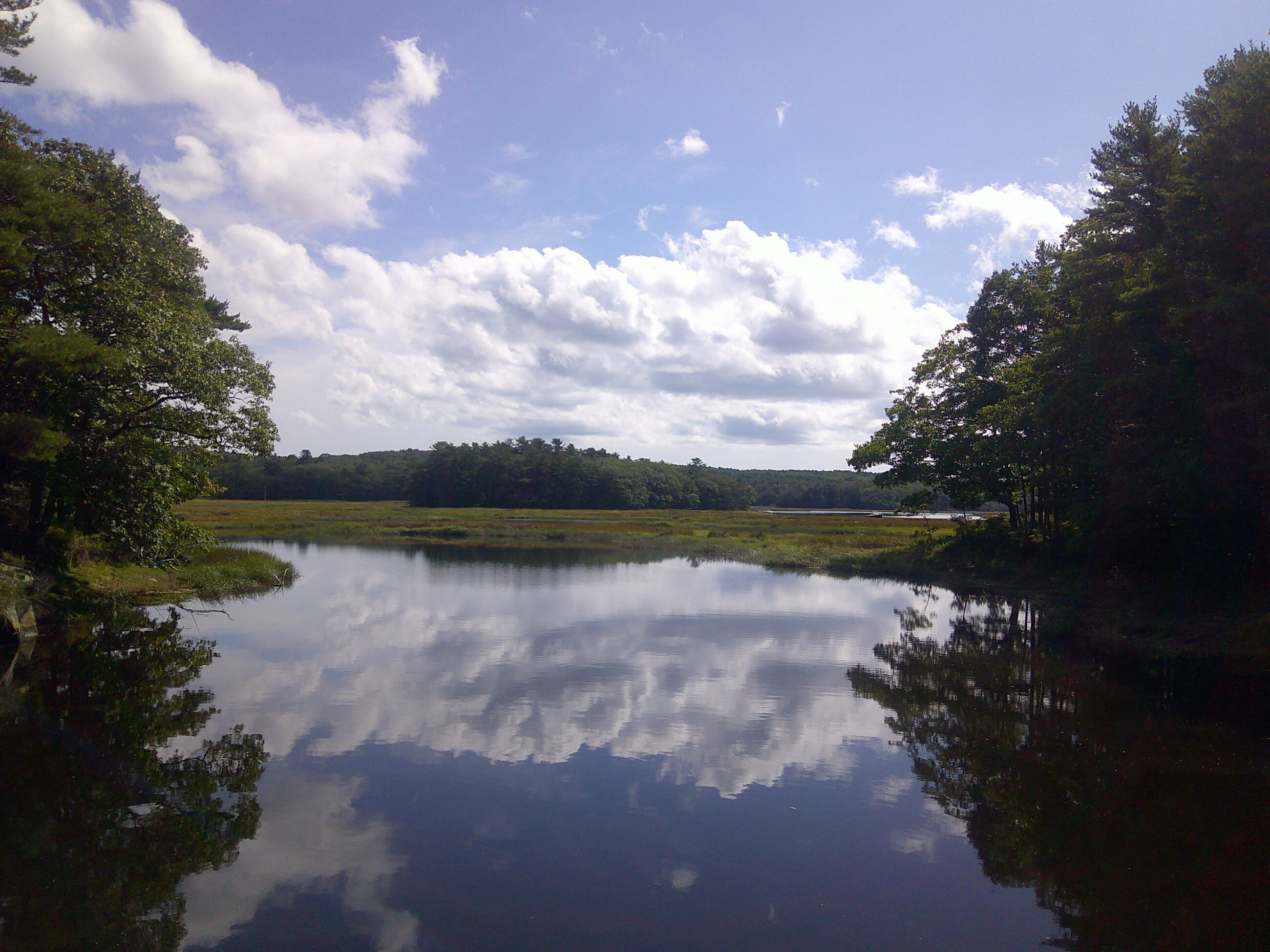 The view from the dock in the middle of campus