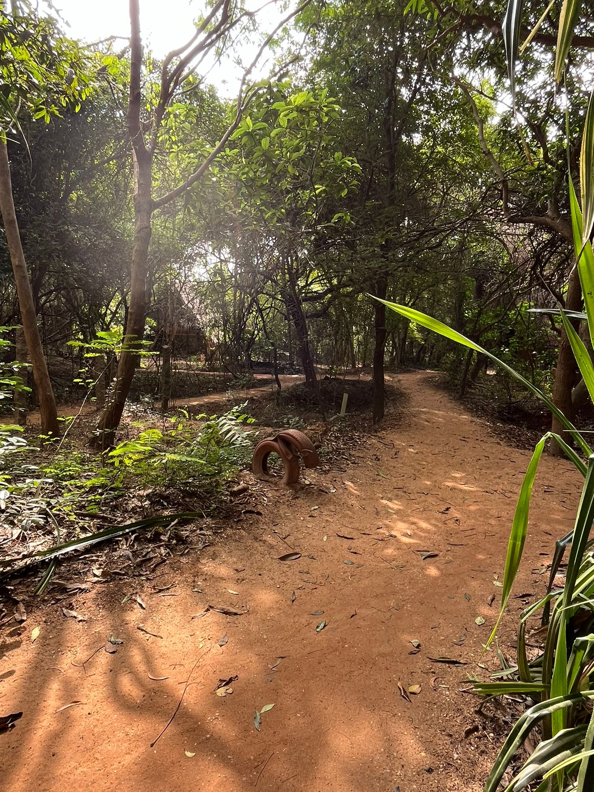 Pathways