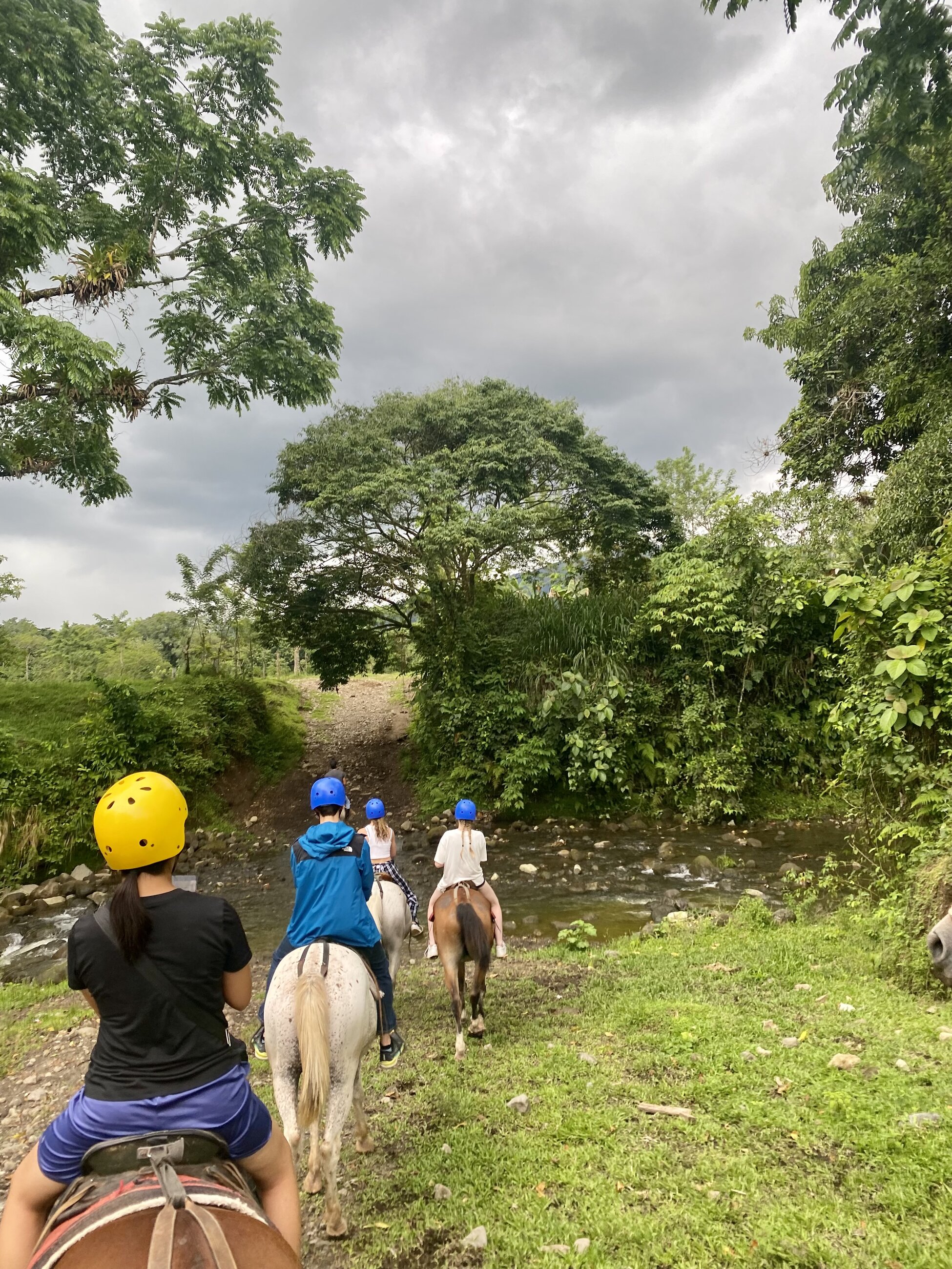Horse Riding