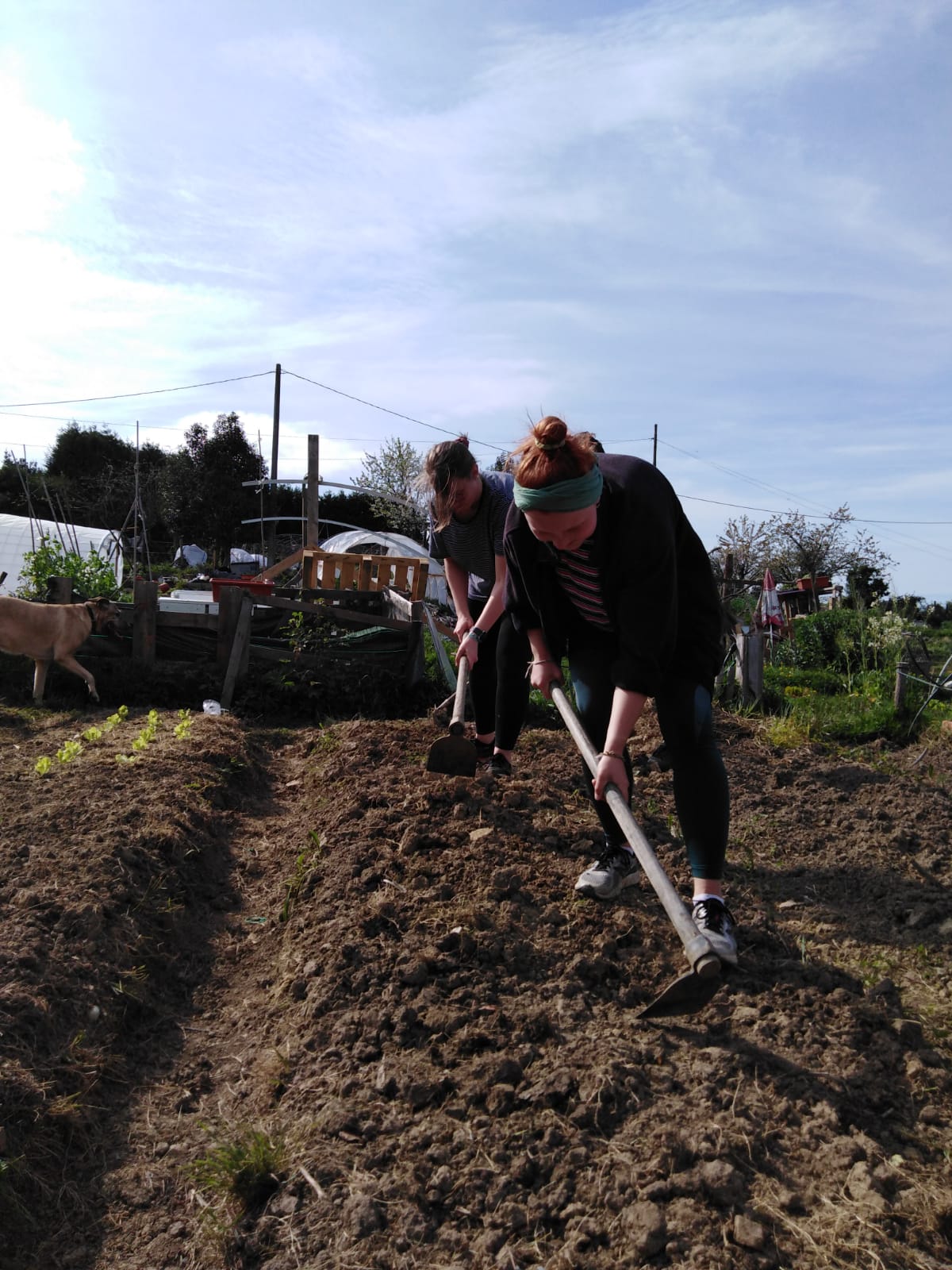 Permaculture