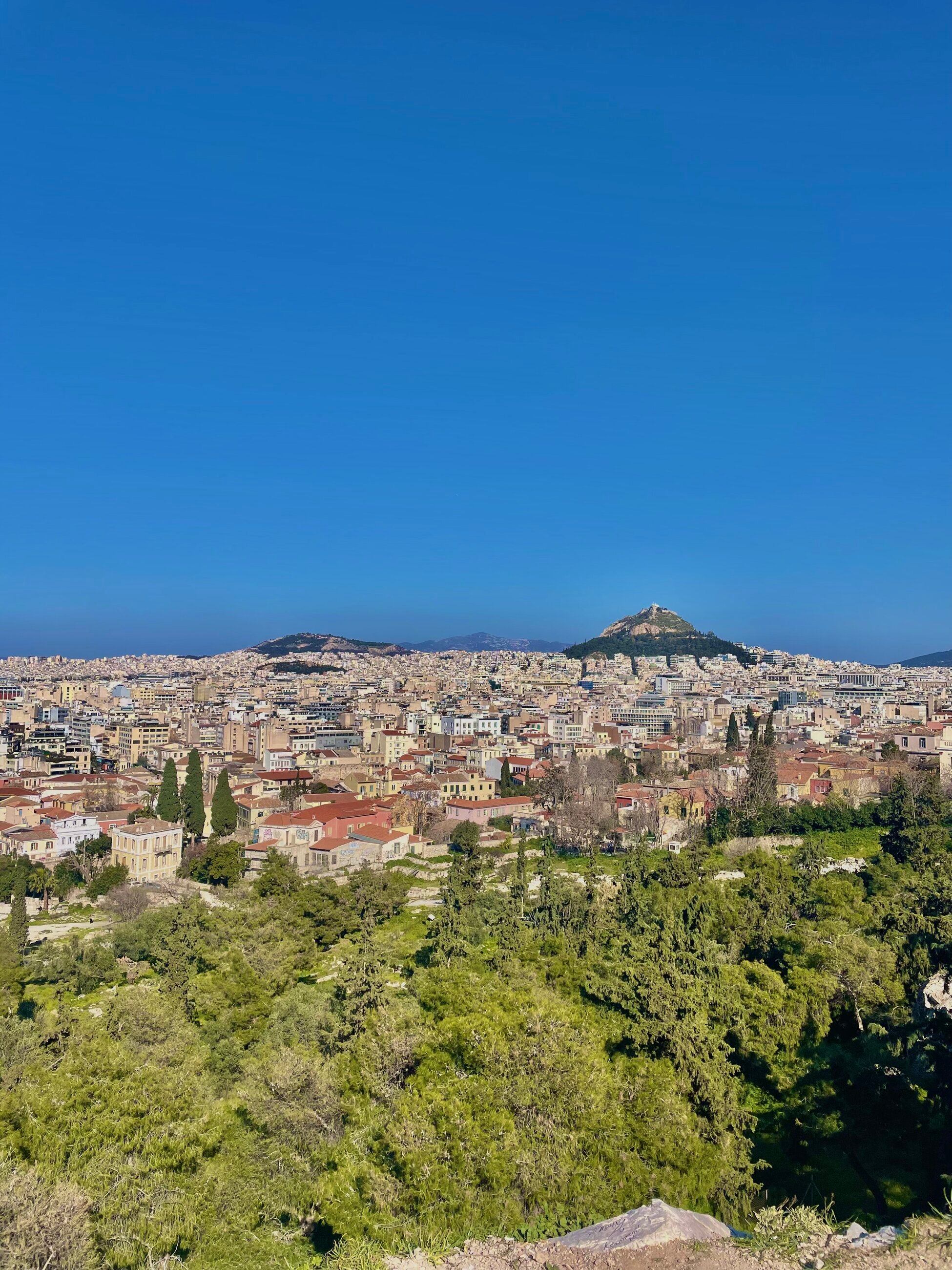 View from walking trails surrounding the Acropolis (right near CYA!)