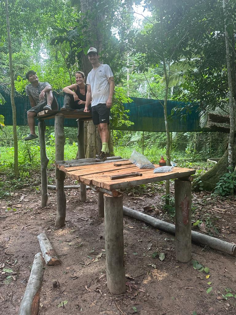 After building a platform for one of the bears