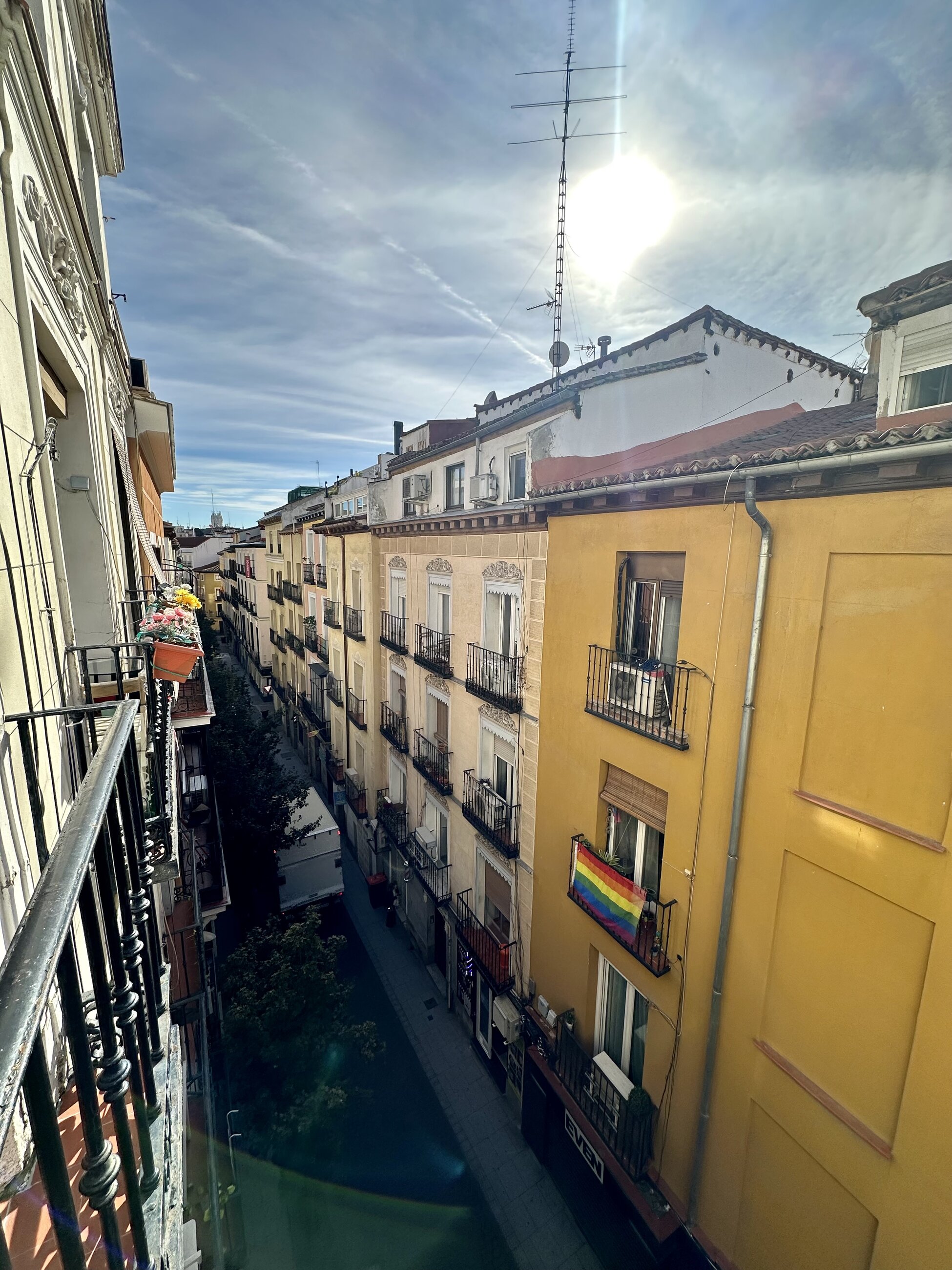 The view from my room