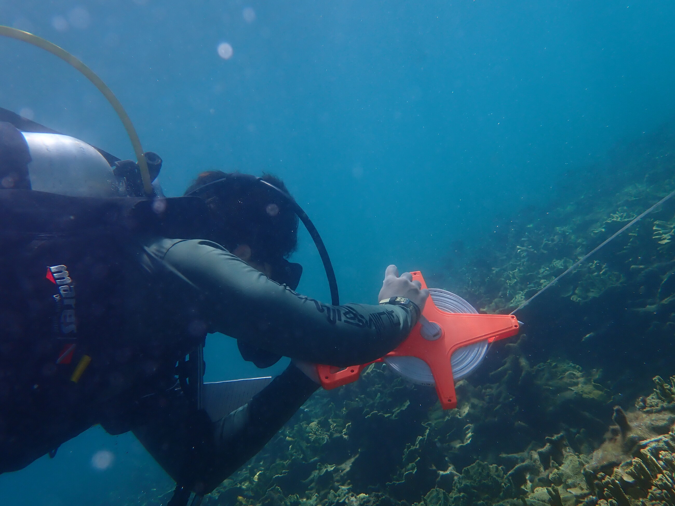 Me during one of our scientific dives for PMRS