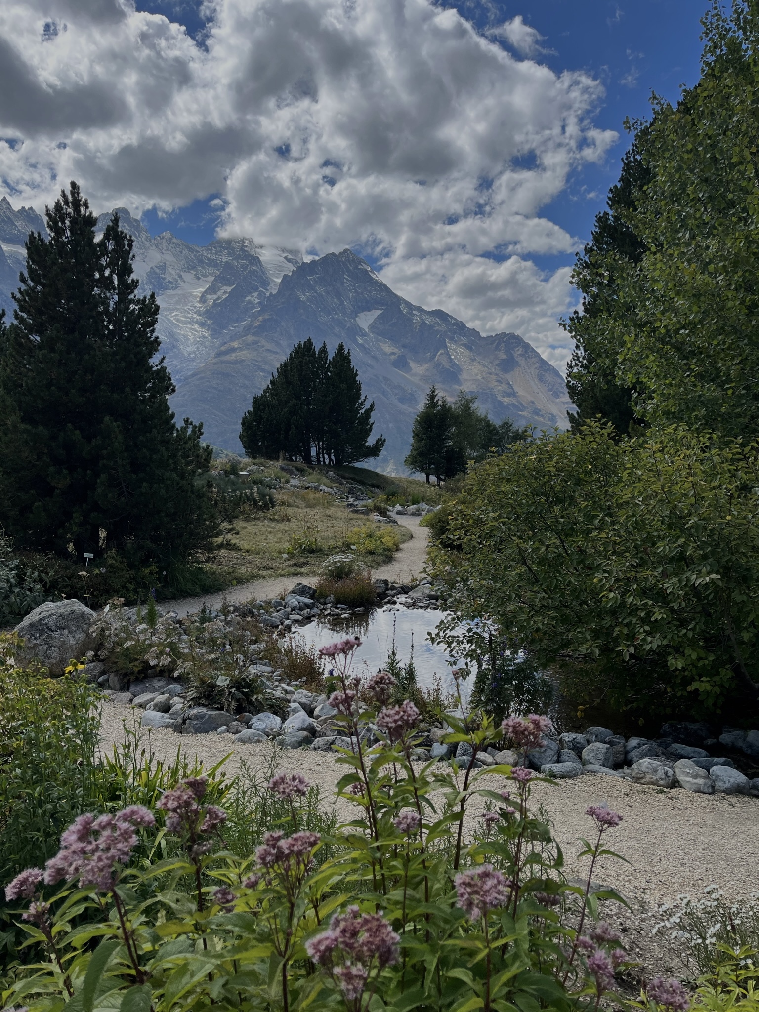 "Le Jardin du Lautaret" ... a Botanical Garden on the outskirts of Grenoble